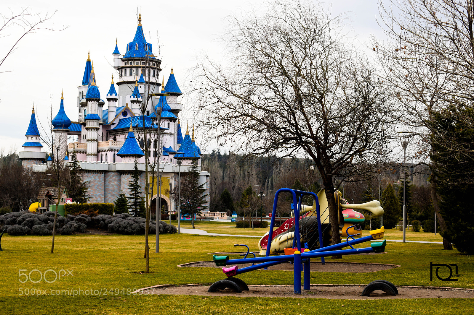 Nikon D5300 sample photo. Untitled photography