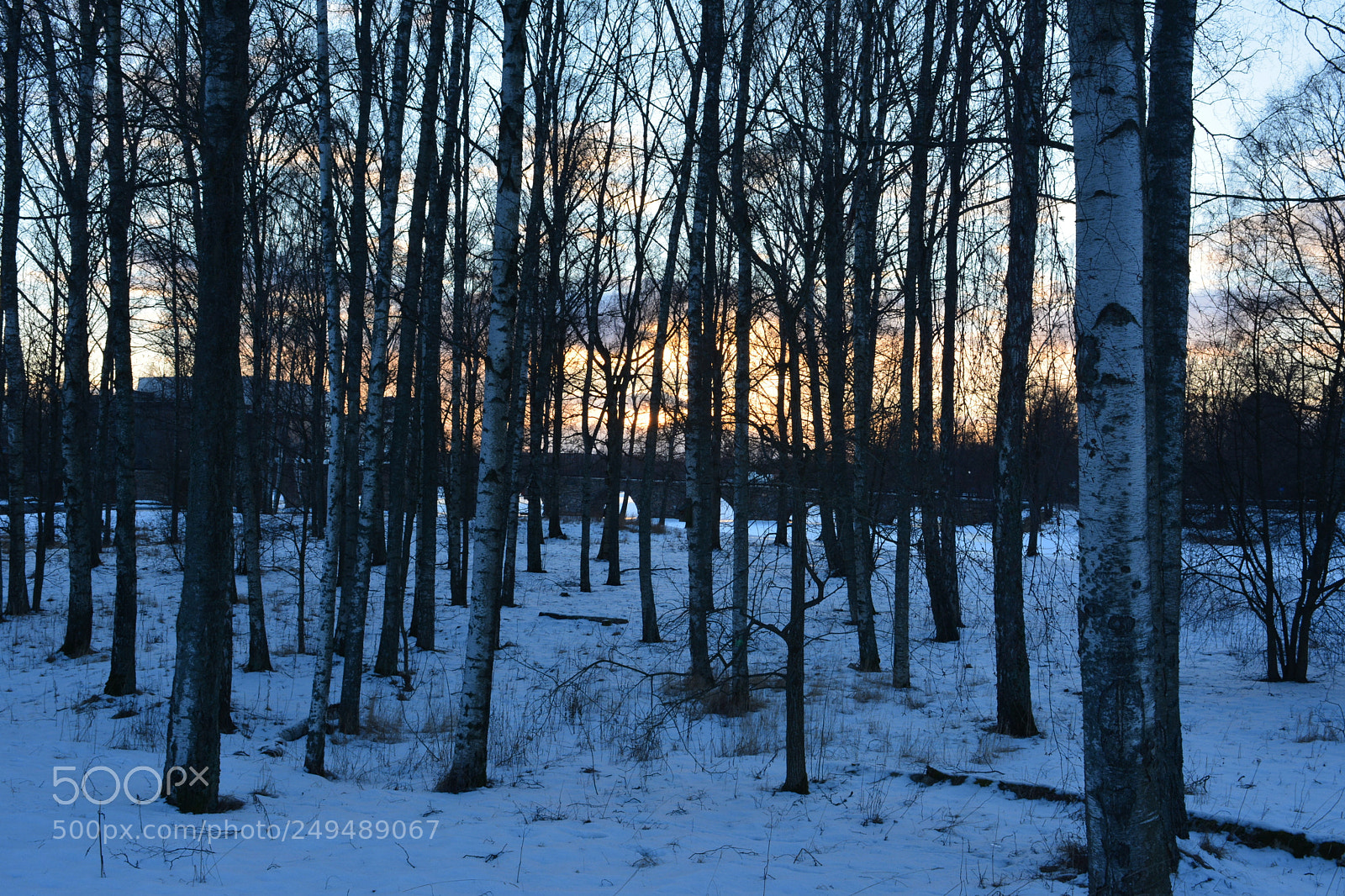 Nikon D5200 sample photo. Sunset photography