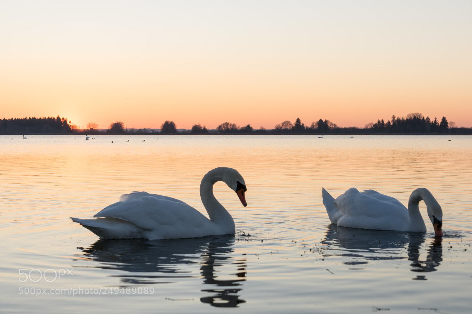 Sony a7 II sample photo. Mandichosee photography