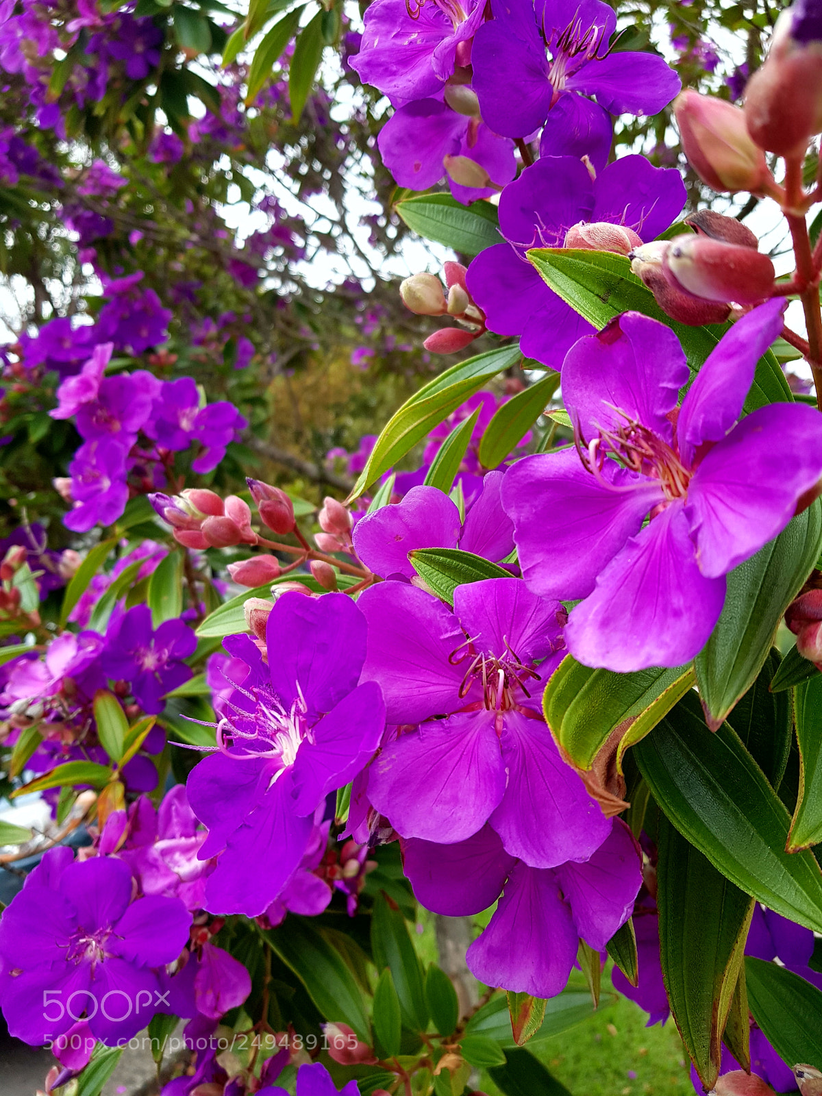 Samsung Galaxy S8 sample photo. Untitled photography