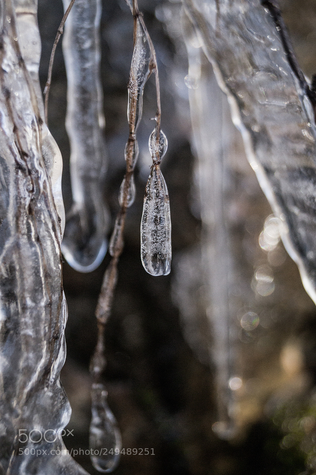 Sony SLT-A58 sample photo. Ice details photography