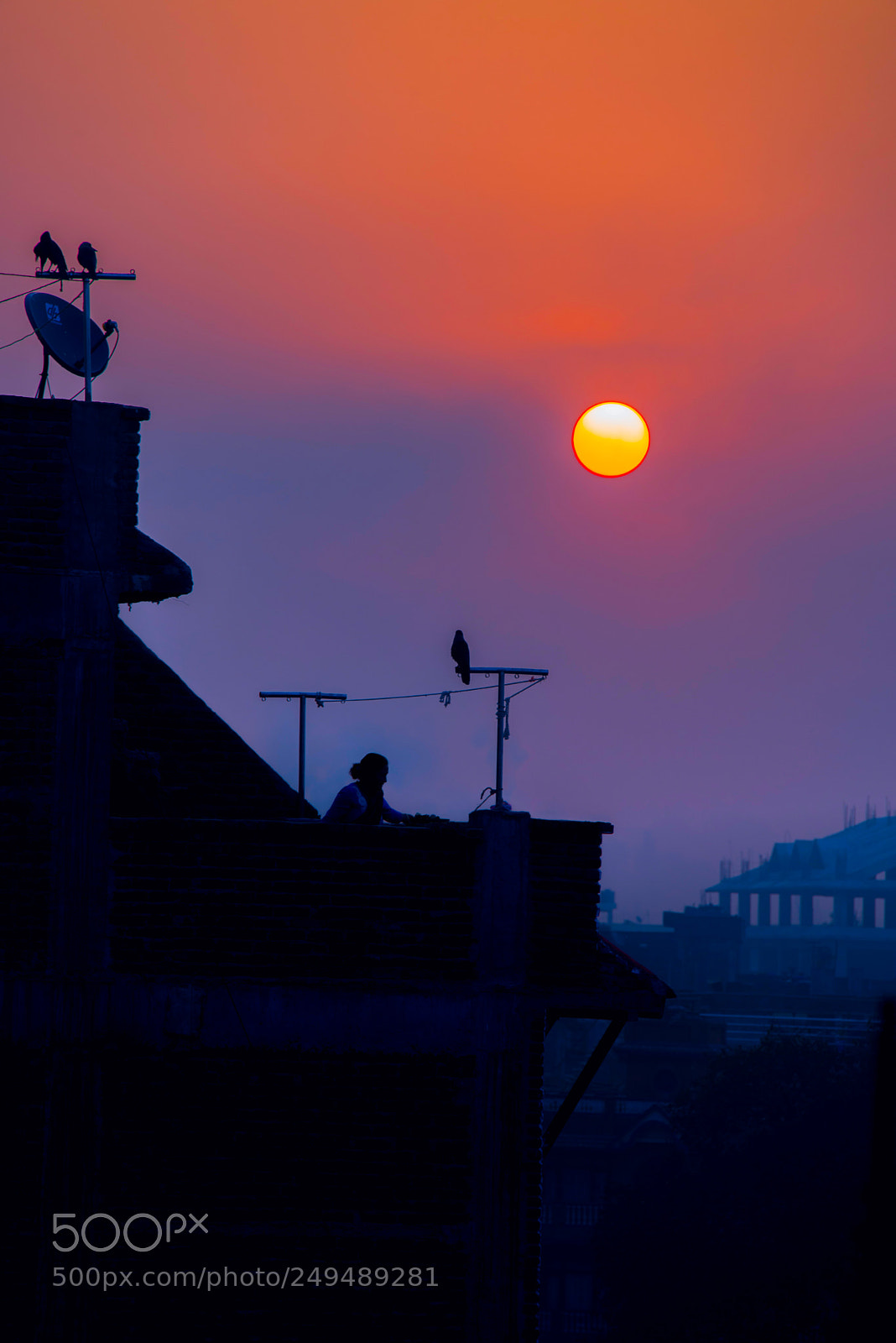 Nikon D610 sample photo. Morning photography