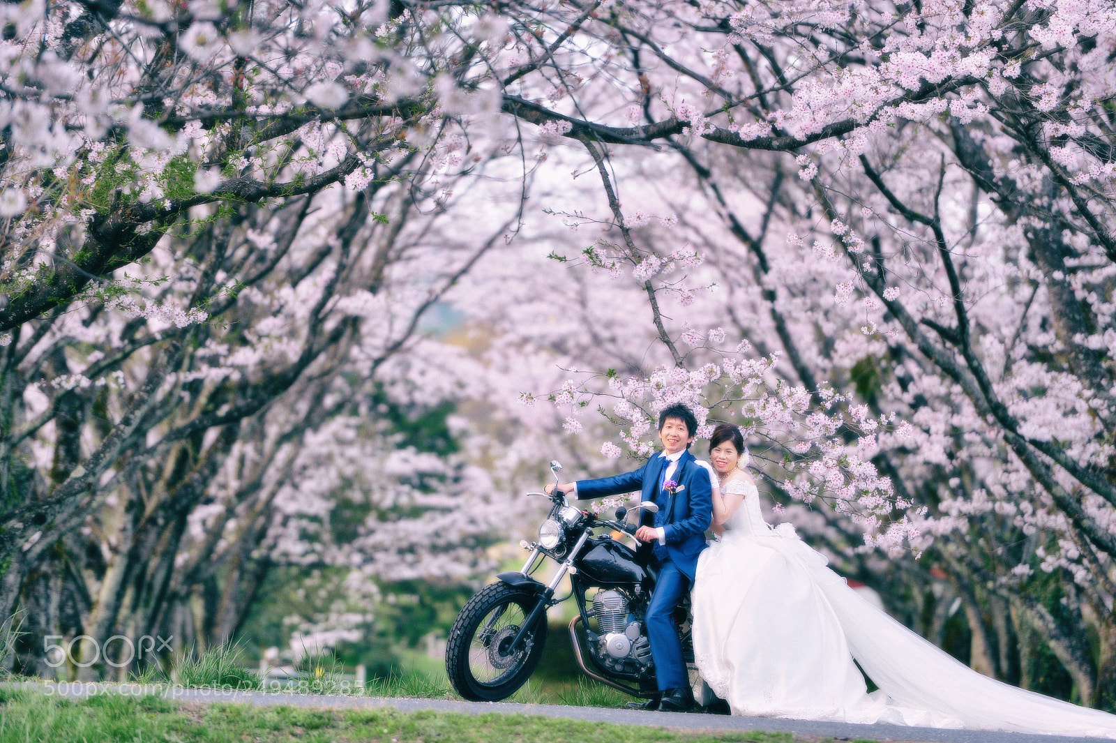 Nikon D4 sample photo. Giveseedwedding photography