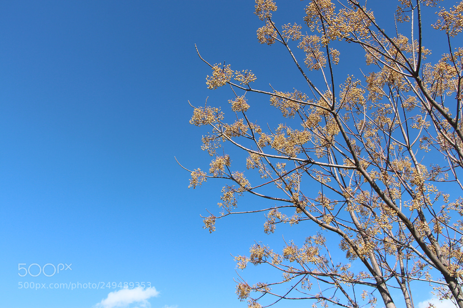 Canon EOS 650D (EOS Rebel T4i / EOS Kiss X6i) sample photo. Untitled photography