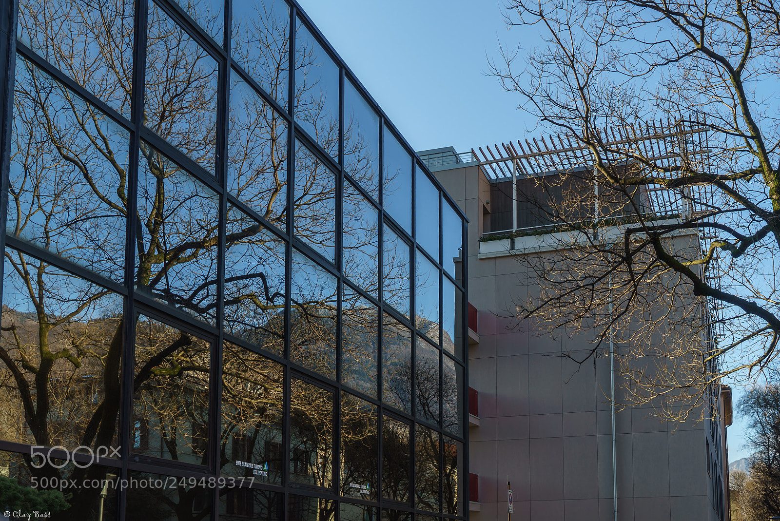 Sony a7S II sample photo. L'albero allo specchio photography