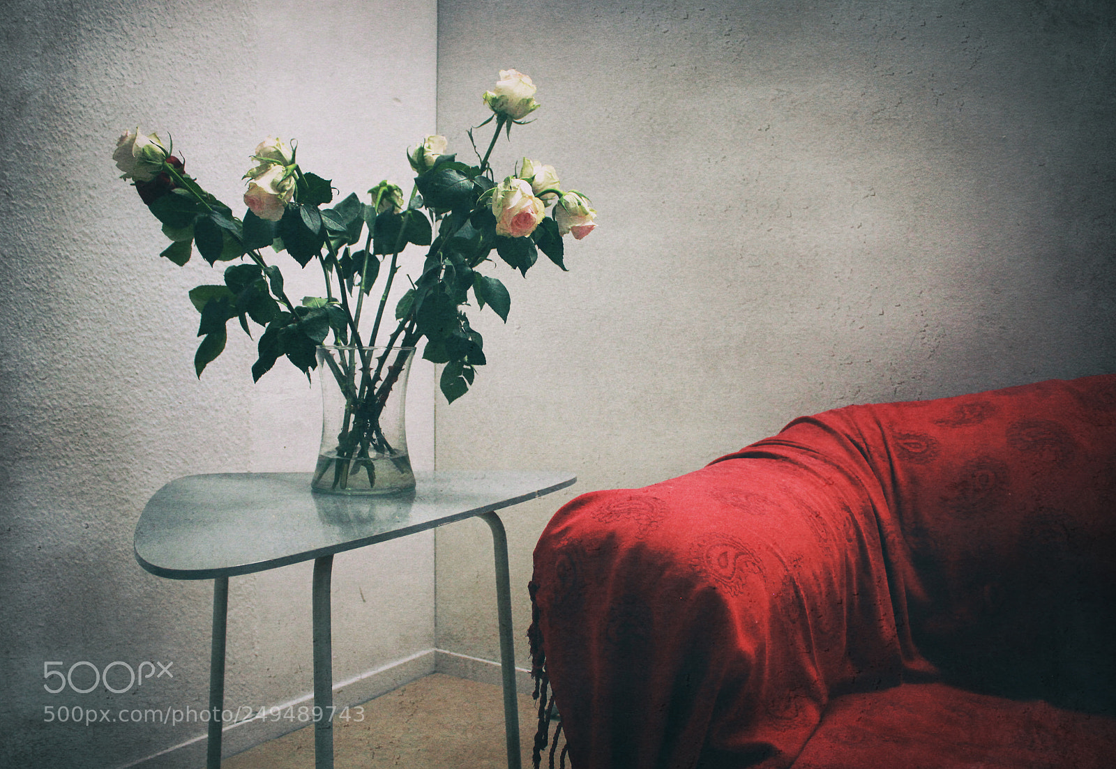 Canon EOS 550D (EOS Rebel T2i / EOS Kiss X4) sample photo. Still life with dying photography