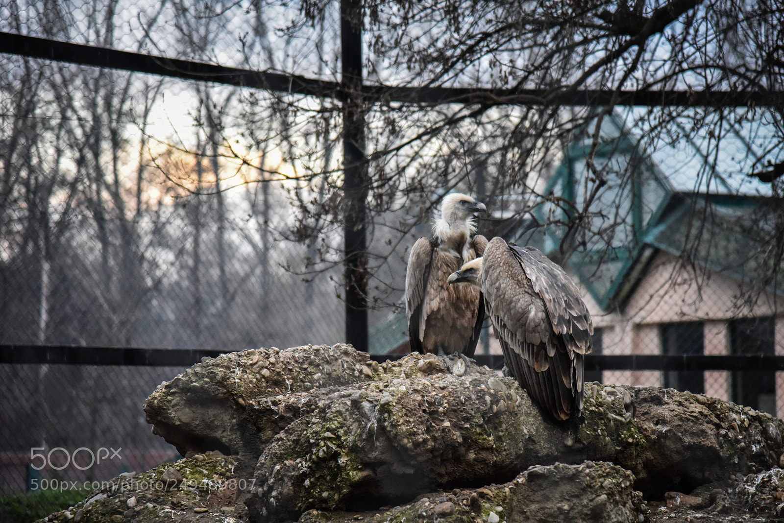 Nikon D810 sample photo. Taken photography