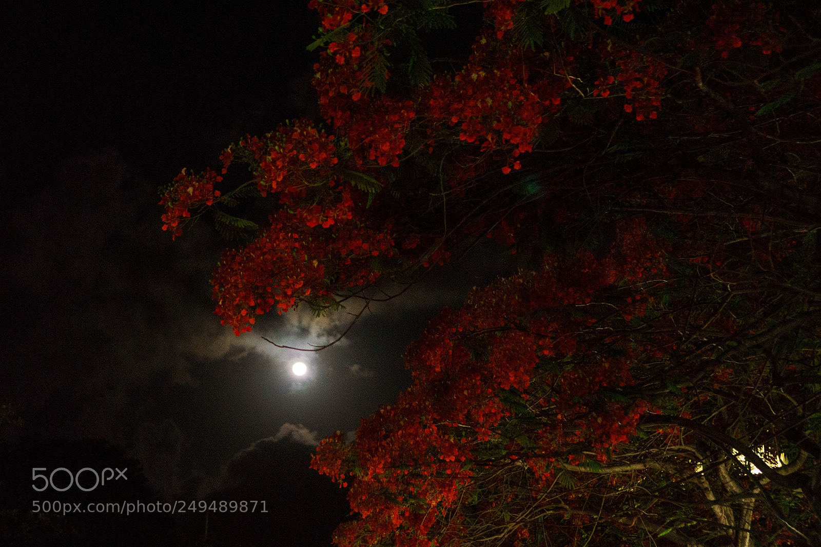 Sony a6000 sample photo. The moonlight of playa photography