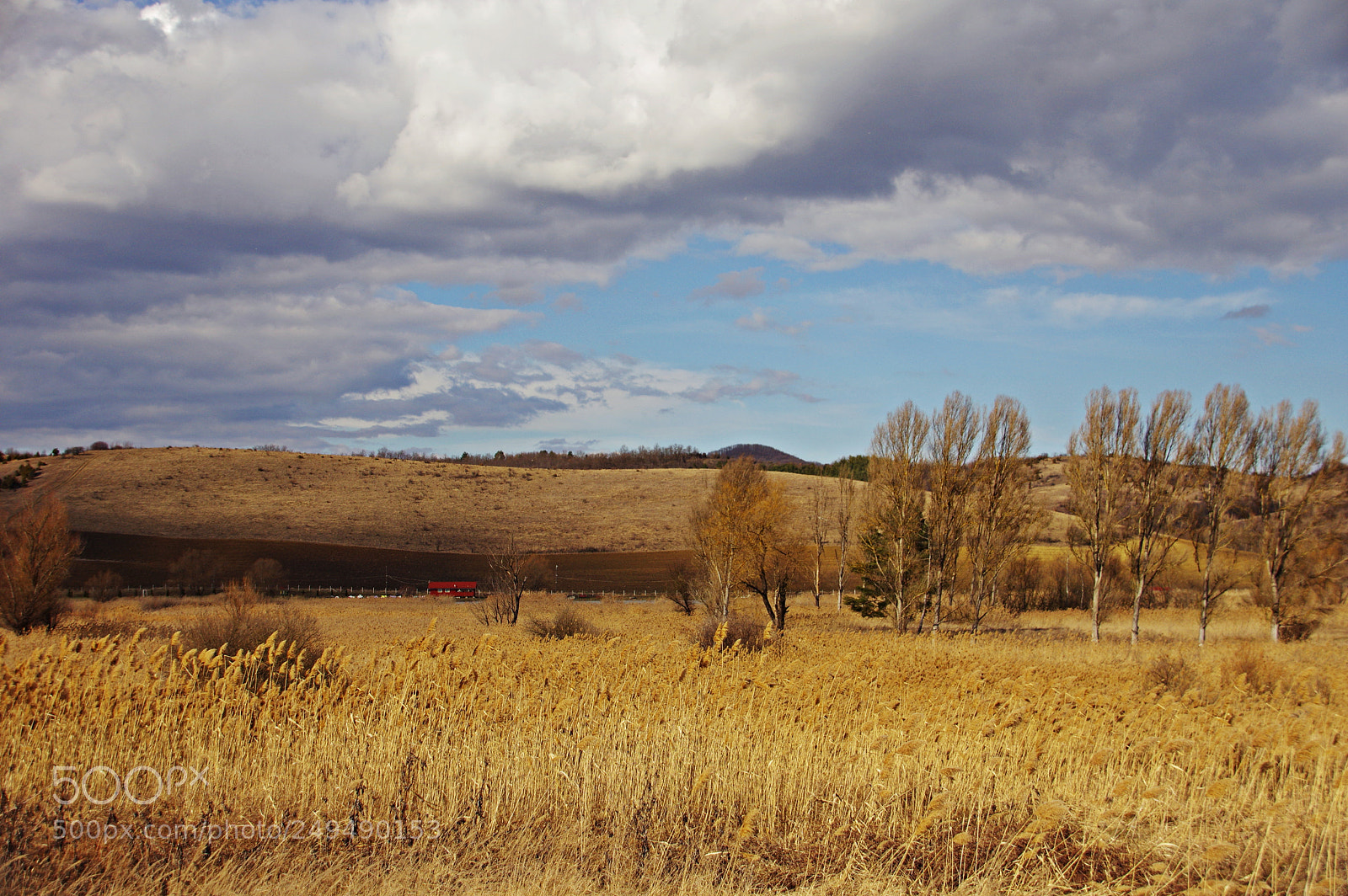 Pentax K-3 sample photo. Little red house photography