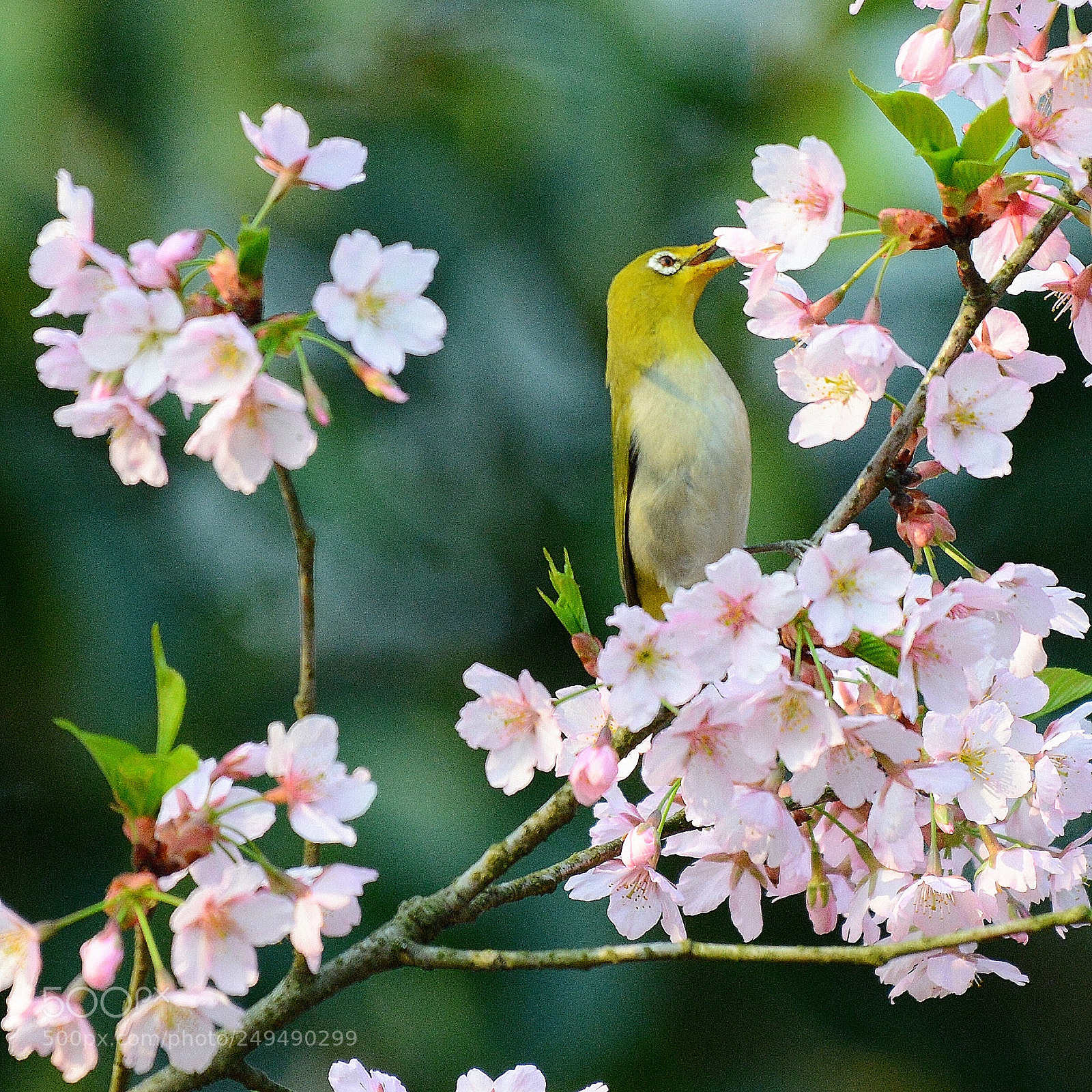 Nikon D800 sample photo. Untitled photography