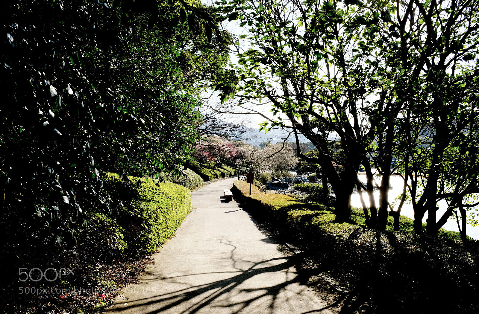 Fujifilm X-T20 sample photo. Spring road photography