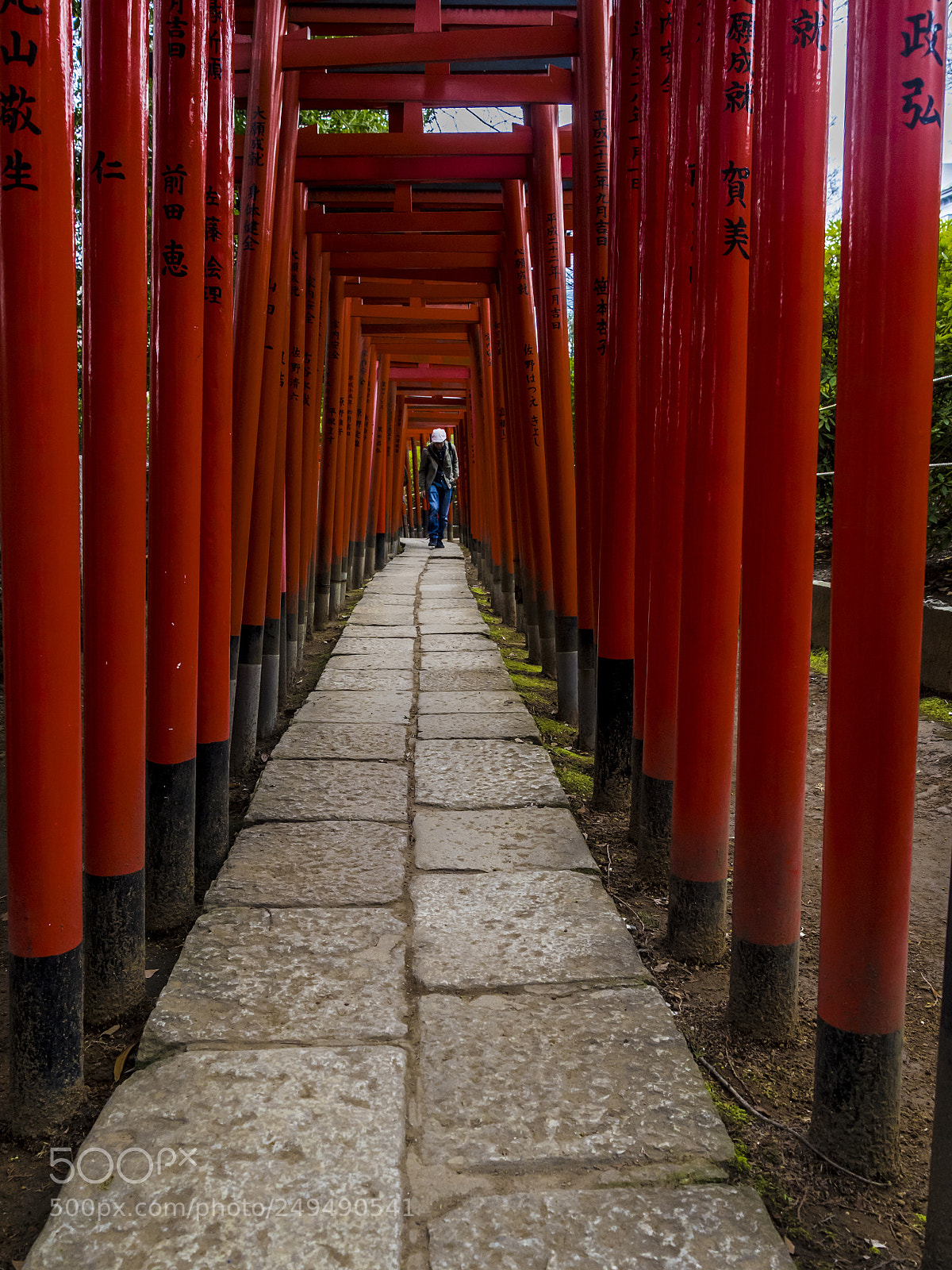 Nikon D5 sample photo. Not in kyoto but photography