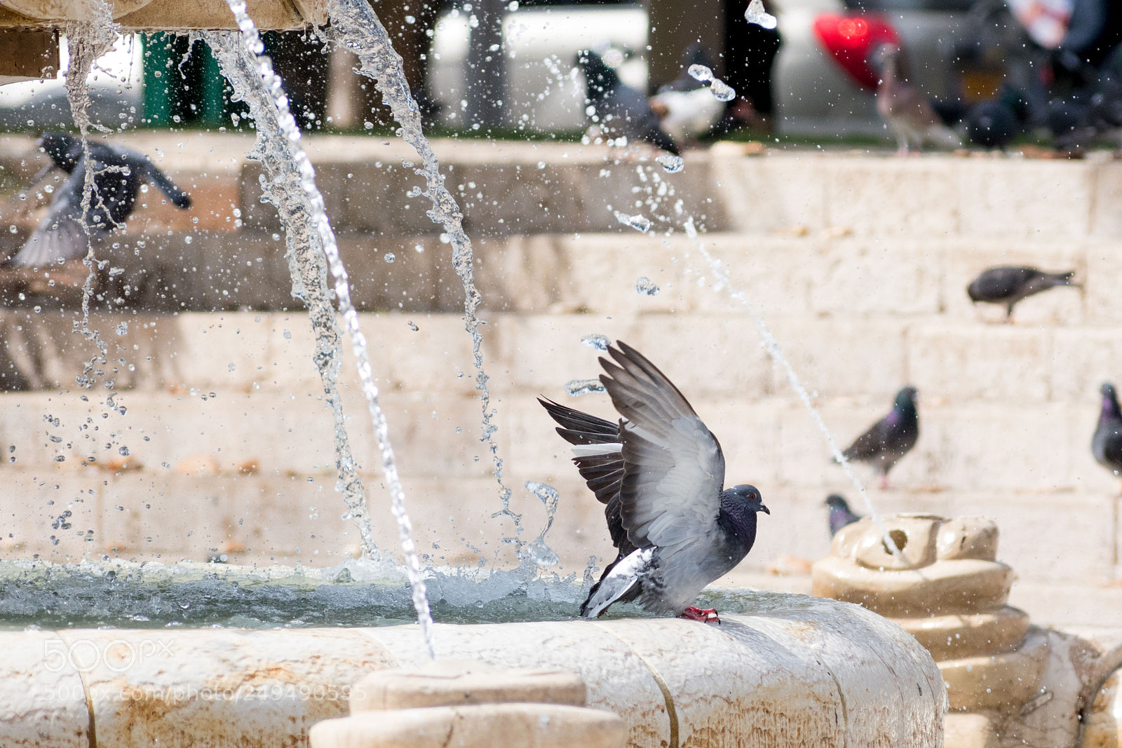 Nikon D5600 sample photo. Water photography