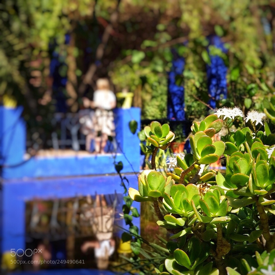 Fujifilm X-T1 sample photo. Untitled photography