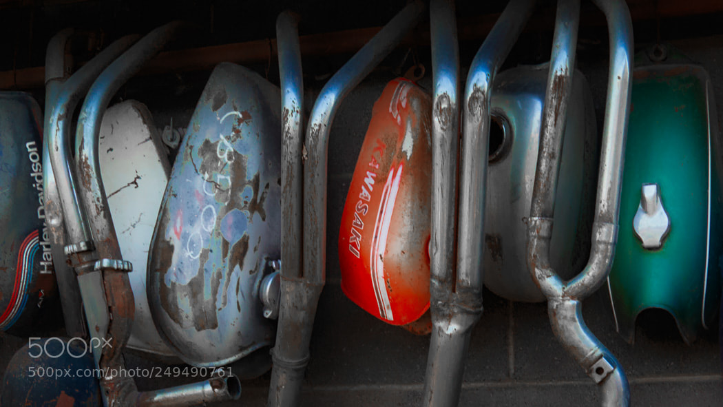 Canon EOS 5D Mark IV sample photo. Recycled photography