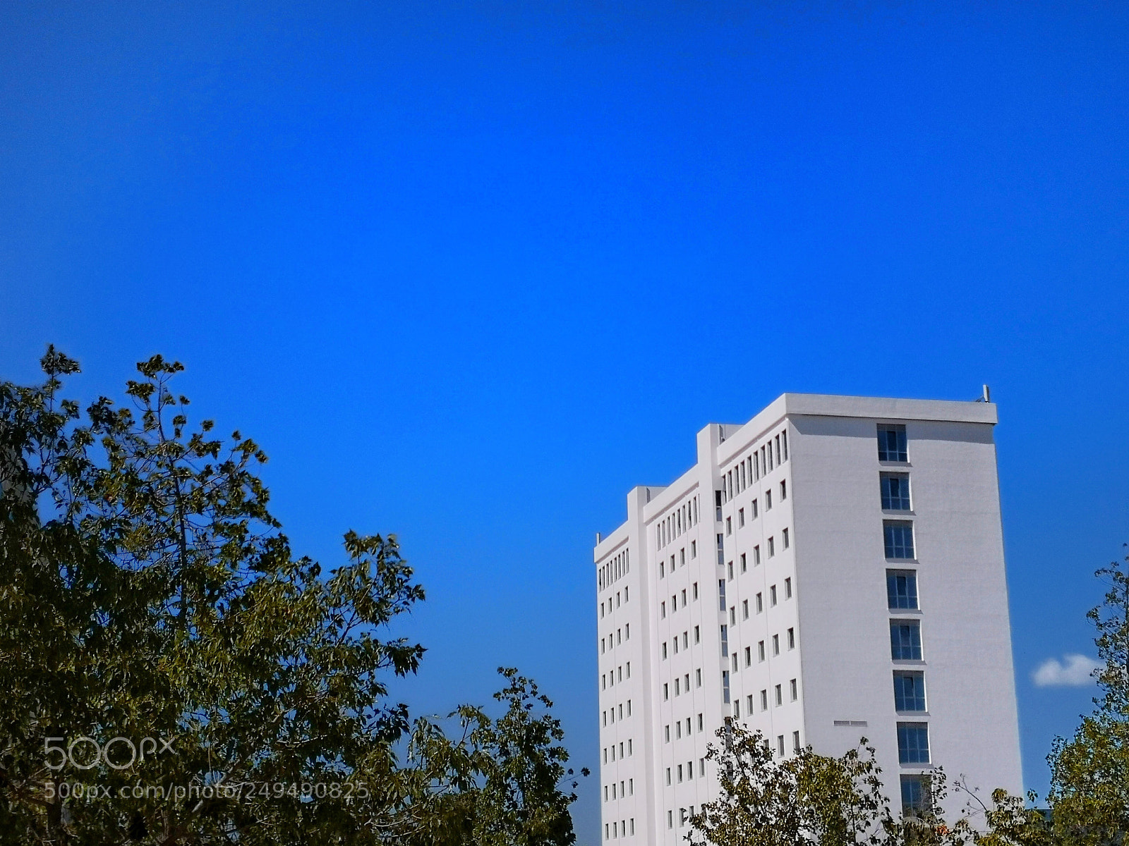 HUAWEI Mate 10 sample photo. Untitled photography