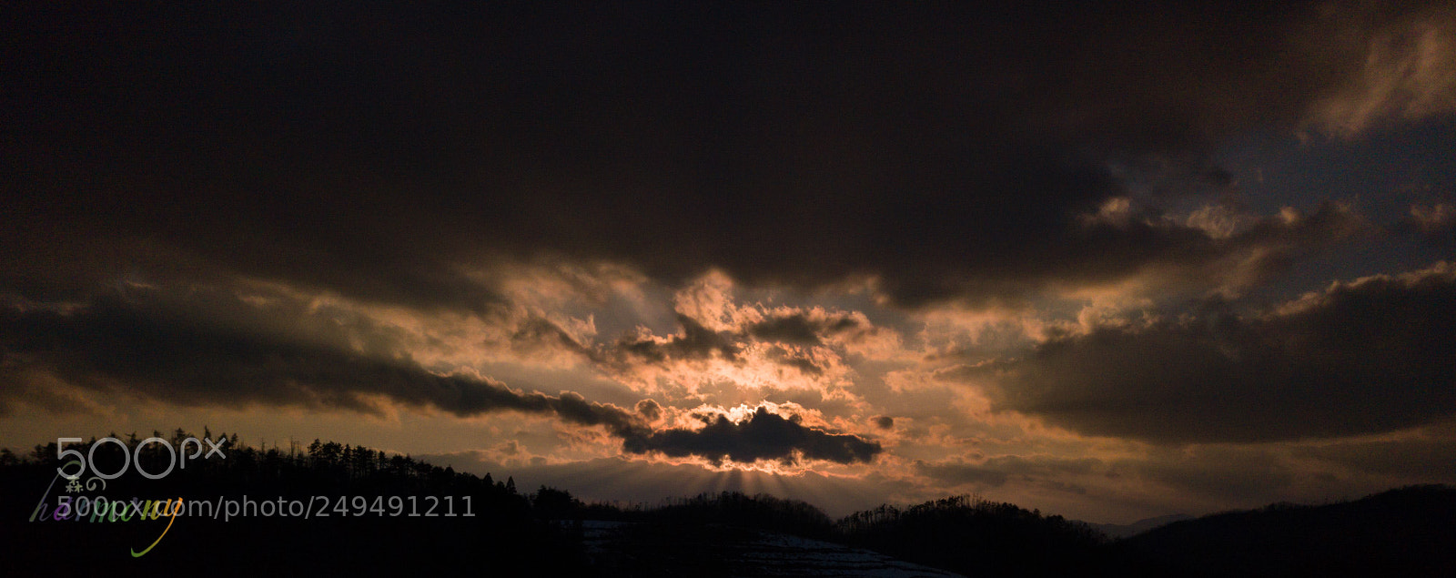 DJI FC220 sample photo. Sunset of early spring photography