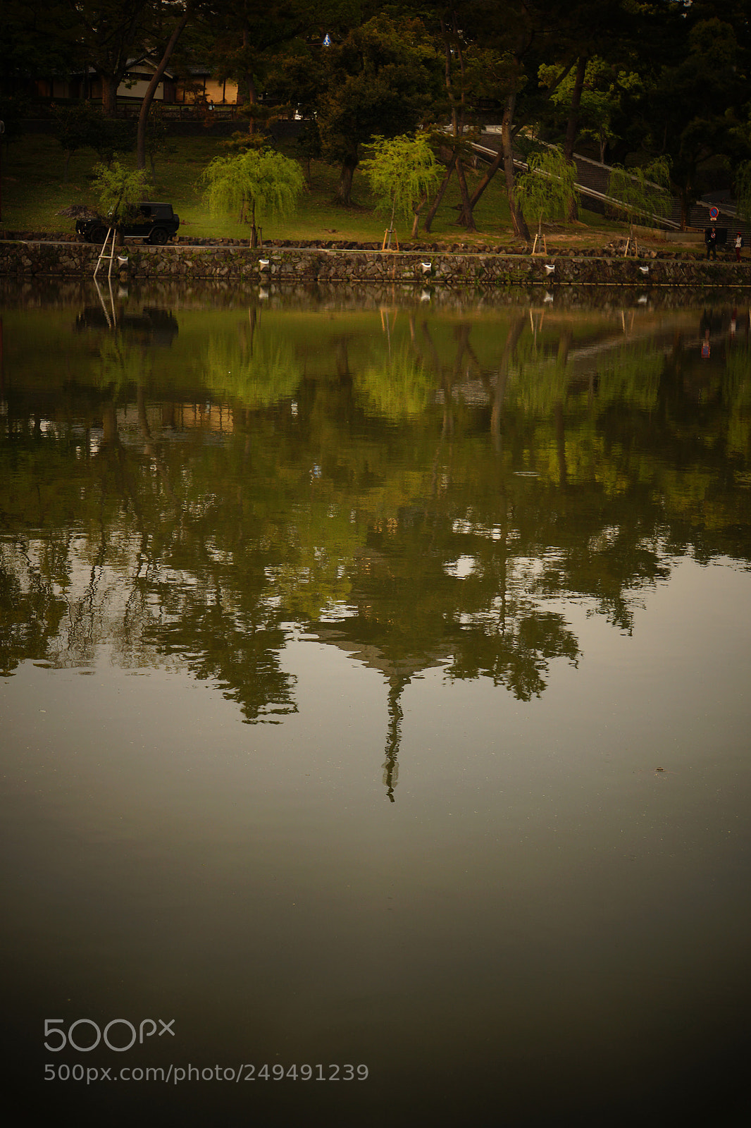 Sony a6000 sample photo. In nara photography