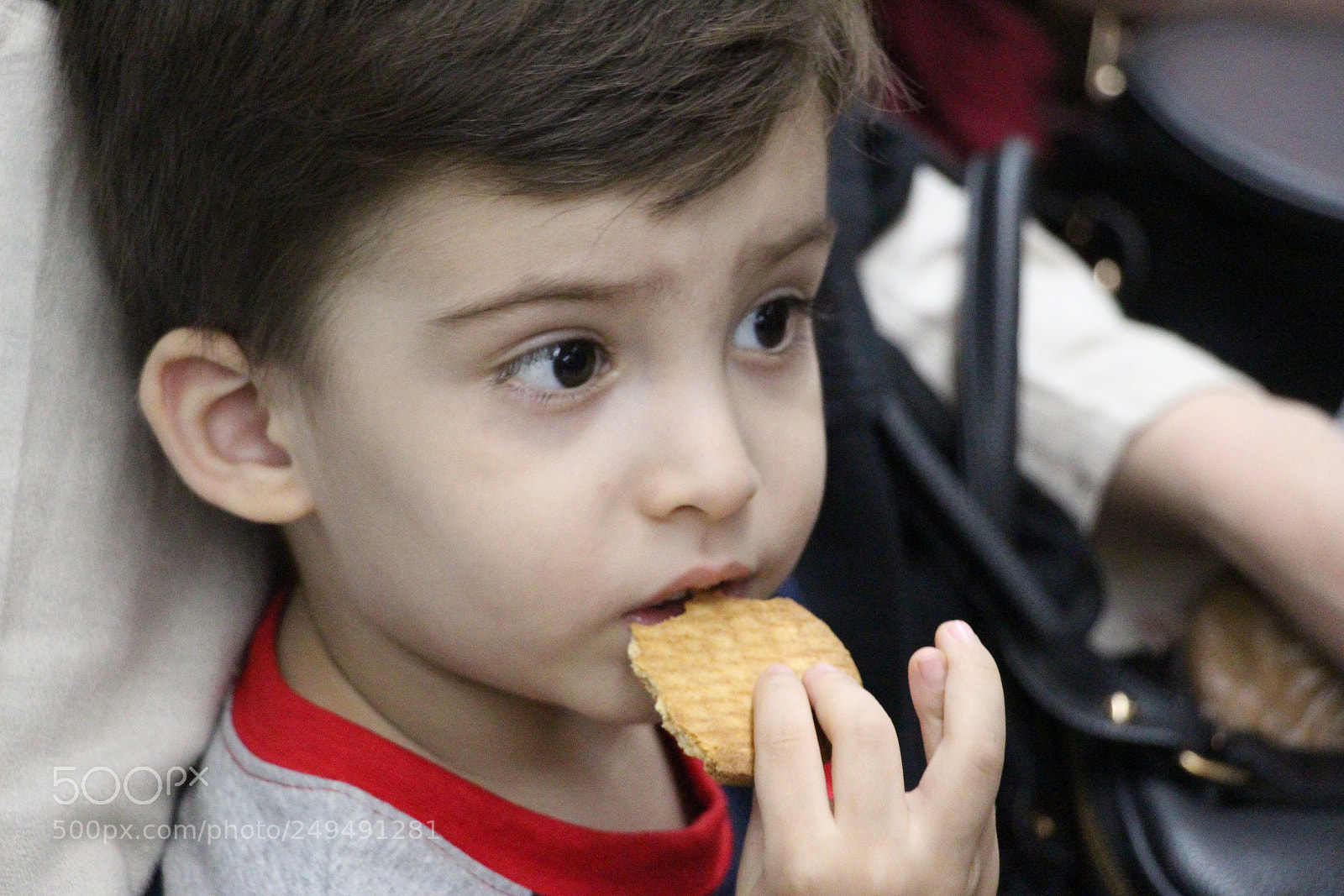 Canon EOS 650D (EOS Rebel T4i / EOS Kiss X6i) sample photo. Iliya photography