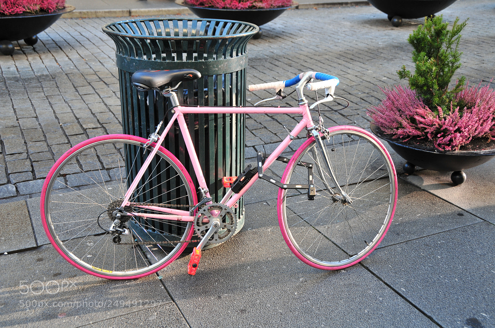 Nikon D300 sample photo. Pinky photography