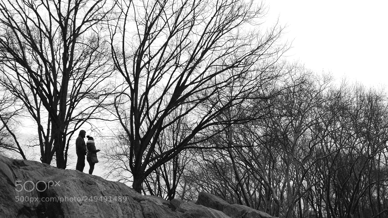 Panasonic Lumix DMC-GH3 sample photo. On the top of photography
