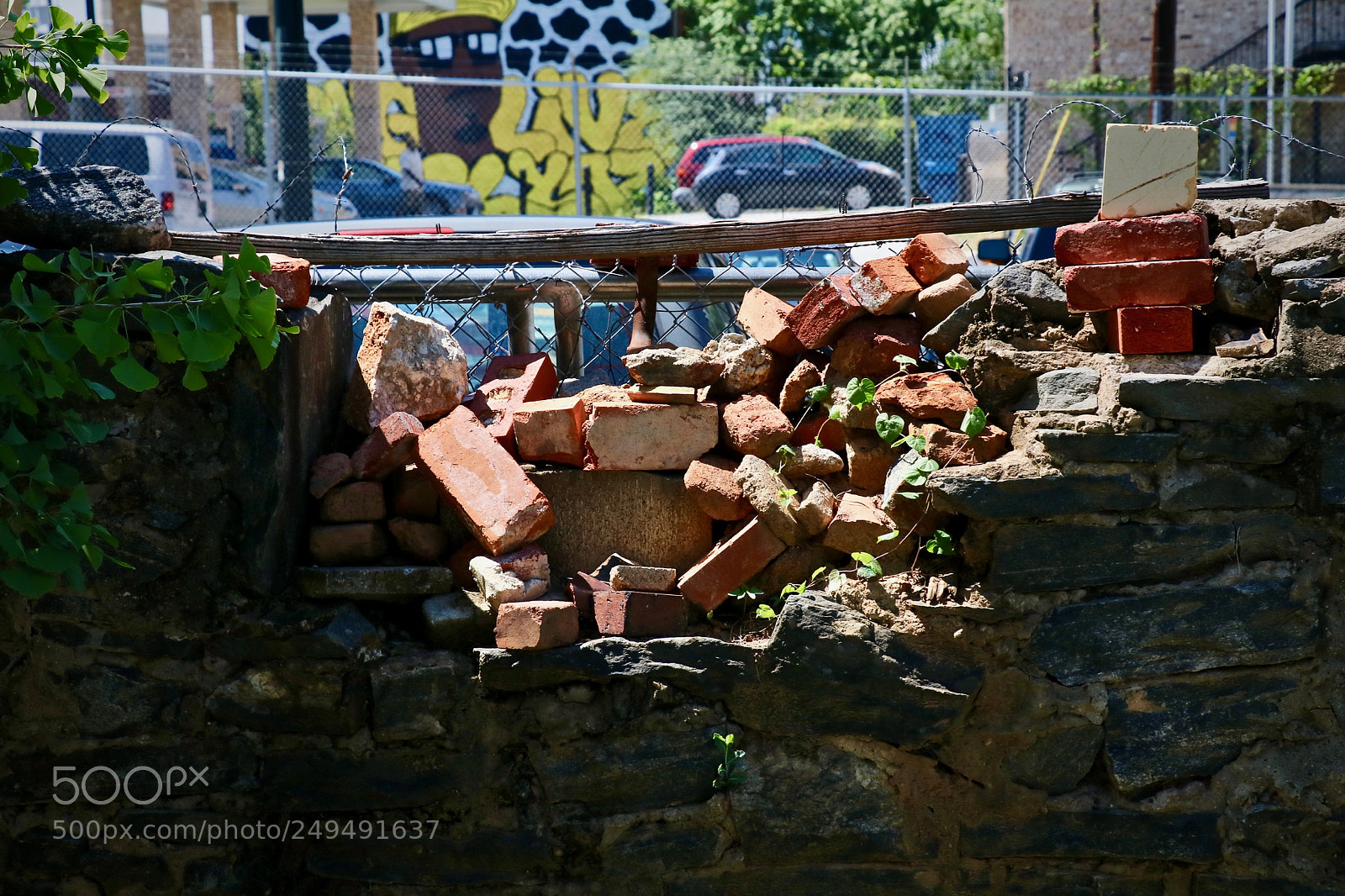 Canon EOS 80D sample photo. Urban decay photography