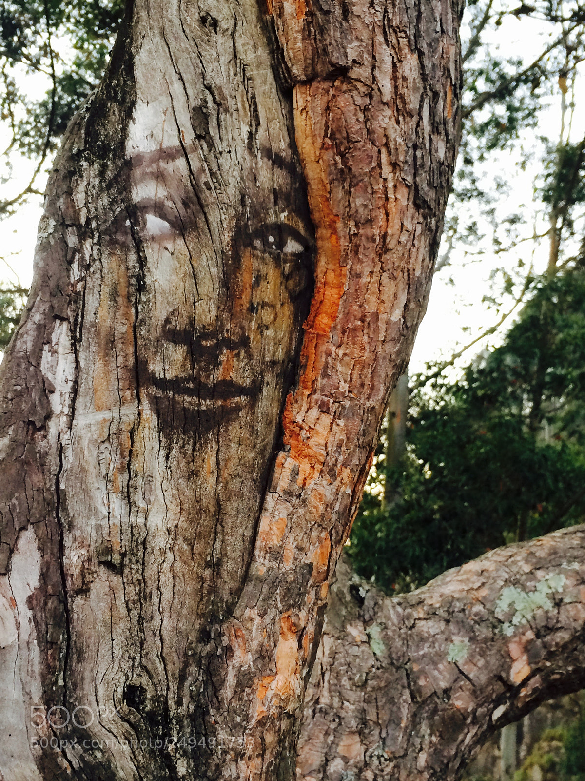 Apple iPhone 5s sample photo. Untitled photography