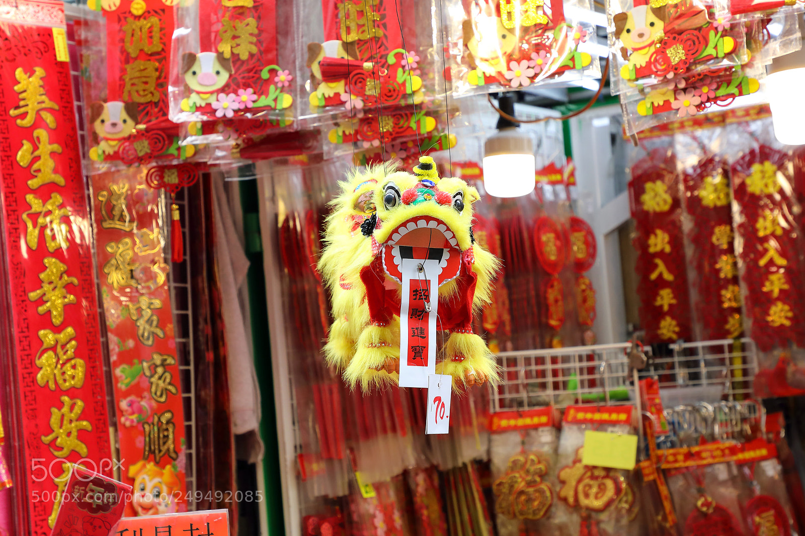 Canon EOS 5D Mark IV sample photo. Chinese lion feng shui photography