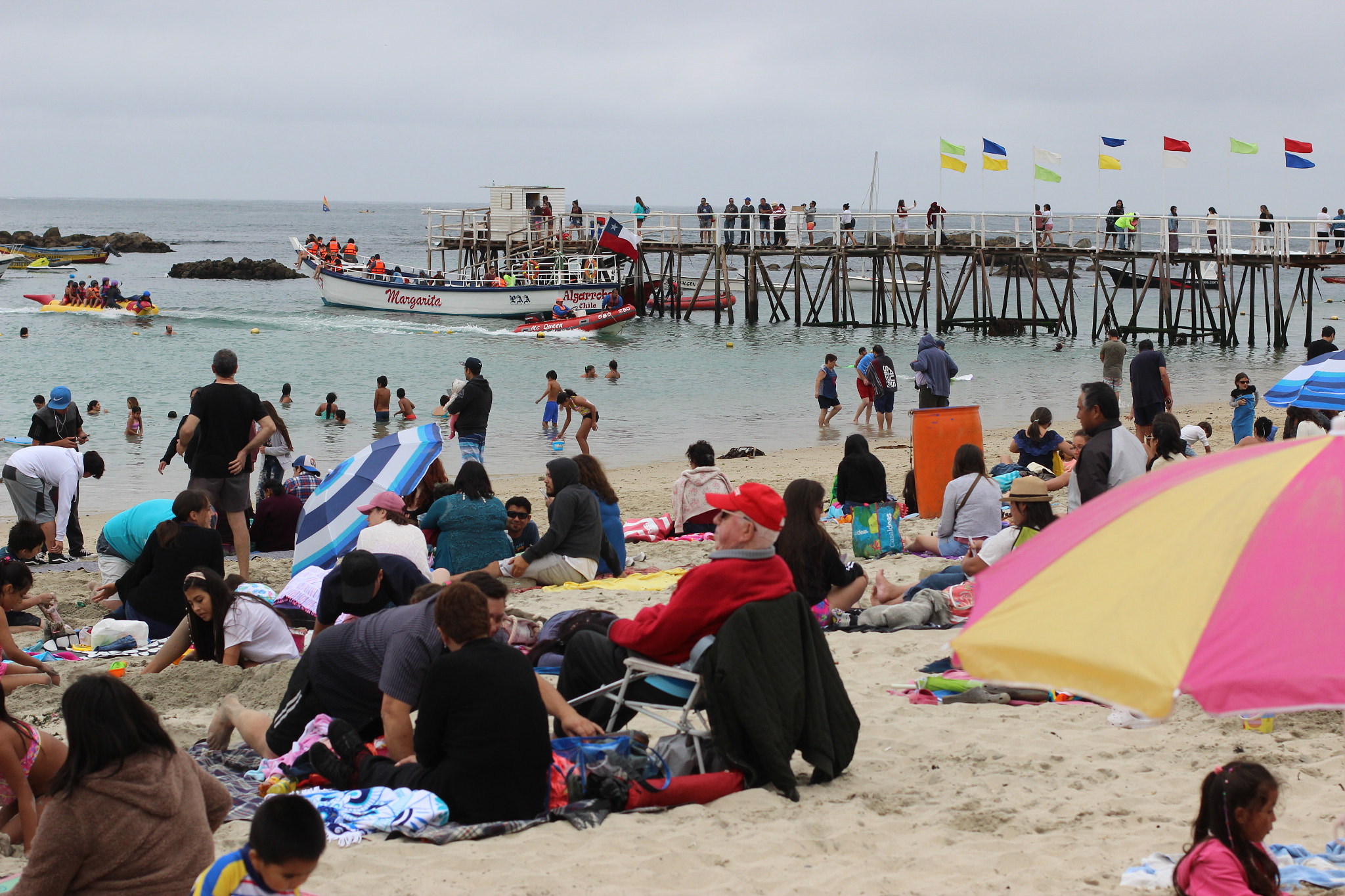Canon EF 50mm F1.4 USM sample photo. Algarrobo photography