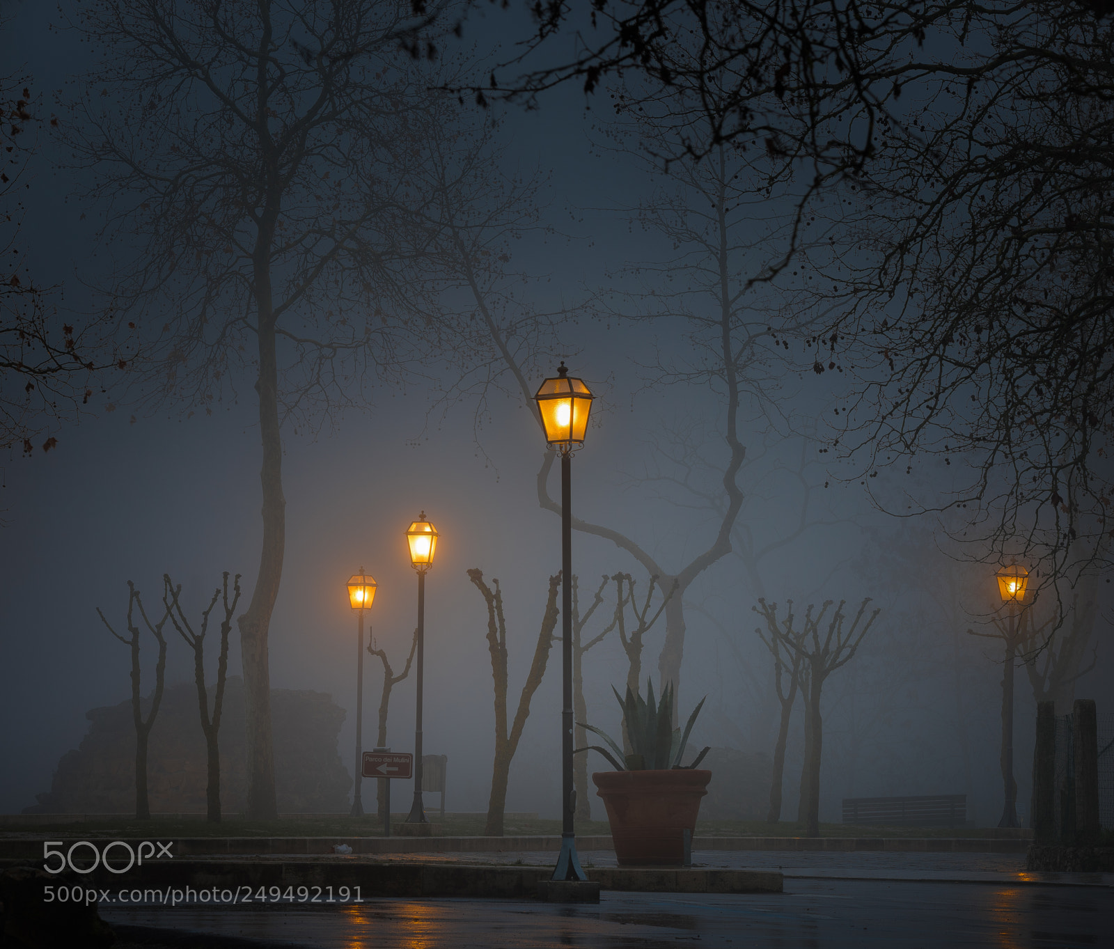 Nikon D810 sample photo. Foggy and rainy awakening photography