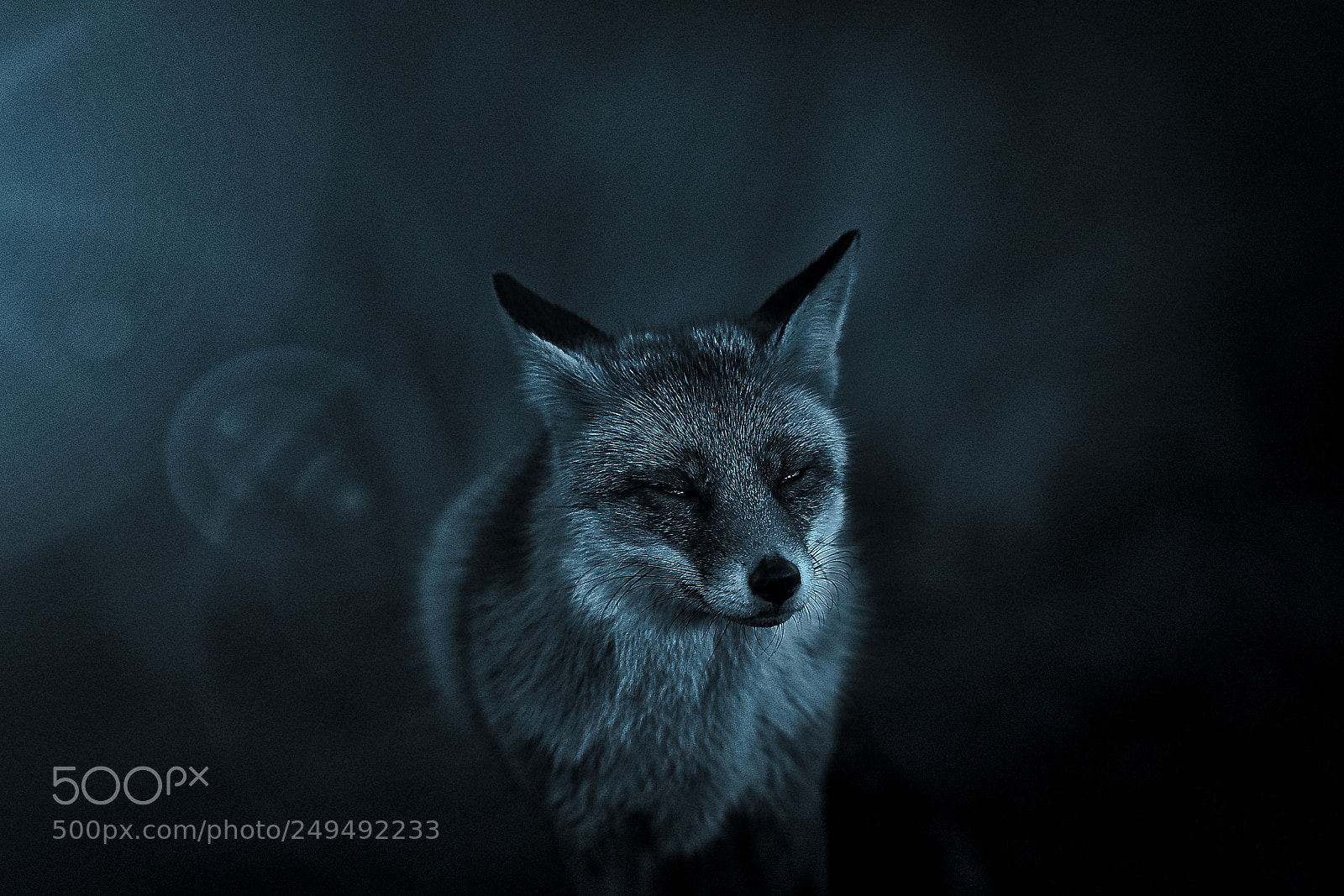 Sony a7R III sample photo. Fox v-2-4 blue silver-night photography