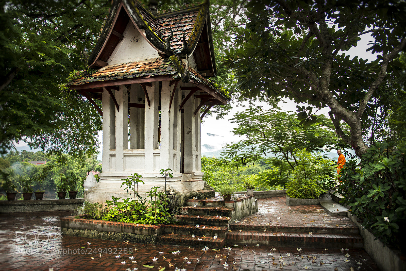 Nikon D800 sample photo. Luang prabang rain / laos photography