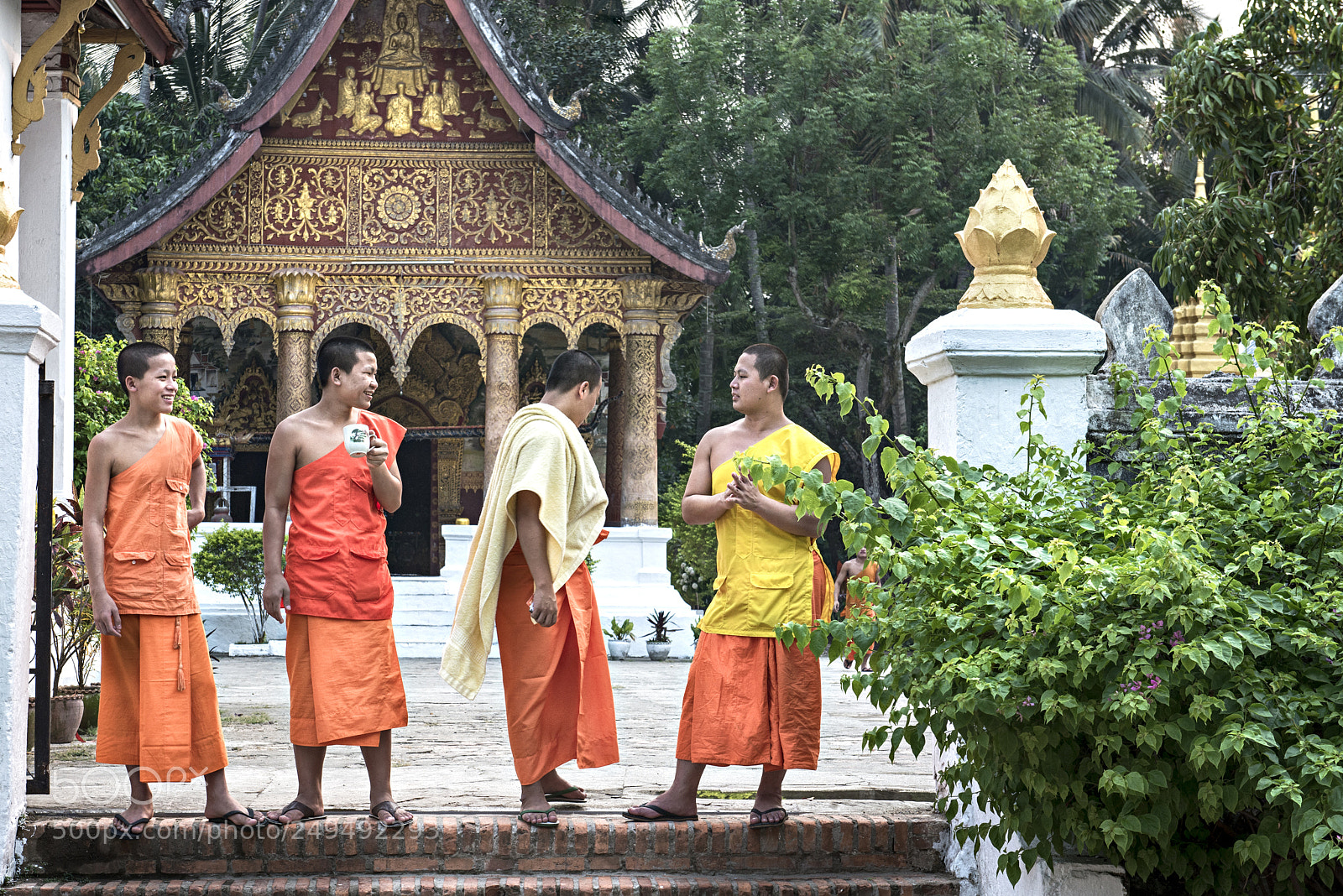 Nikon D800 sample photo. Starbucks? / laos photography