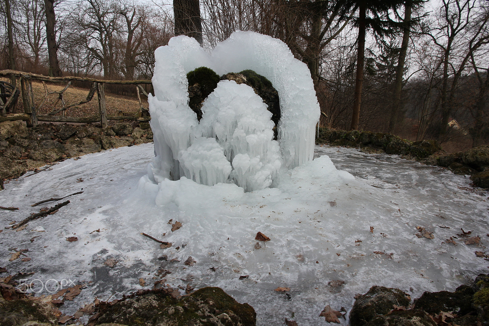 Canon EOS 60D sample photo. Spring of ice photography