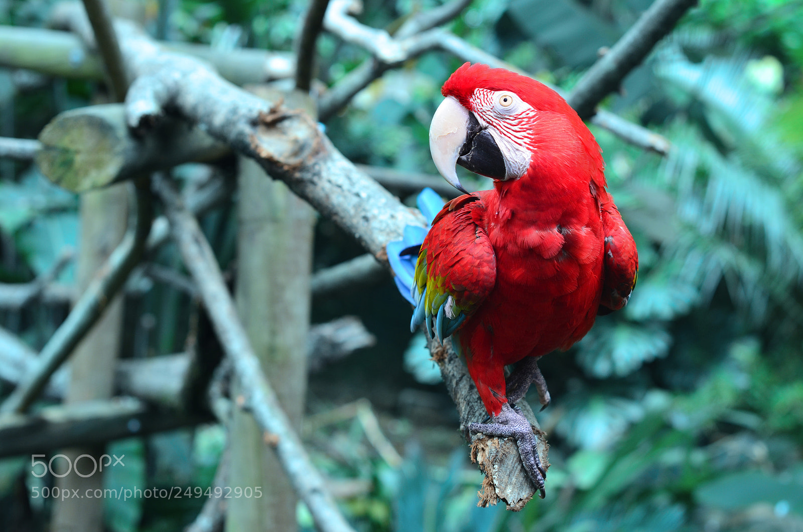 Nikon D5100 sample photo. A photography
