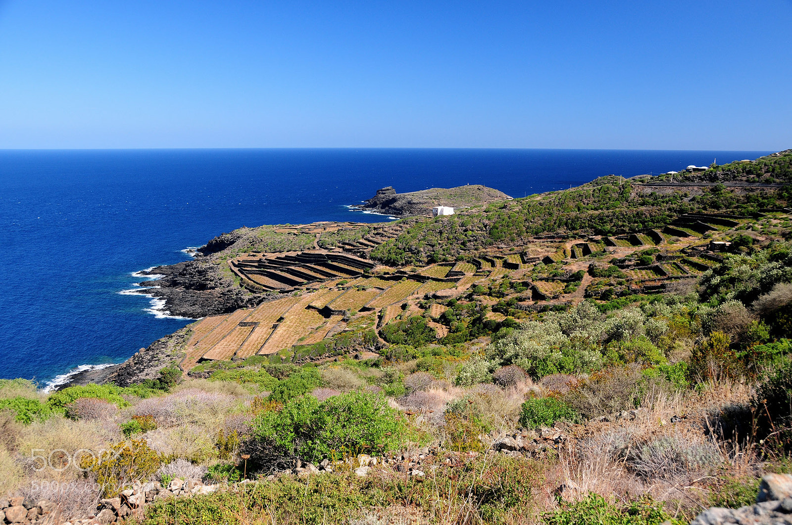 Nikon D300 sample photo. Terraced fields against the photography