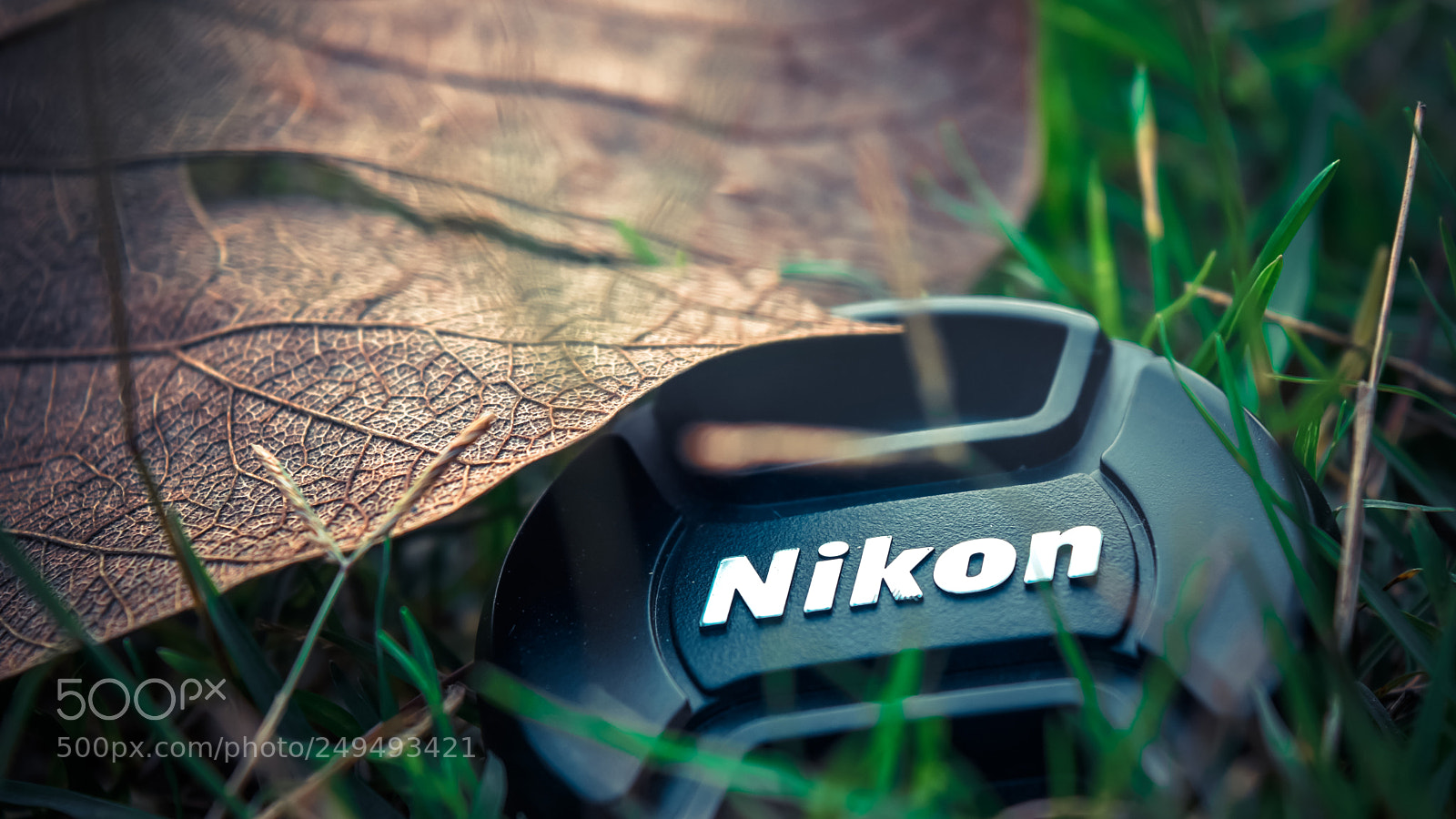 Nikon D5500 sample photo. Jim photography