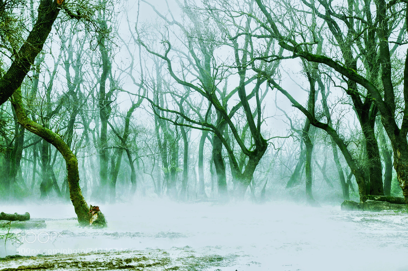 Nikon D90 sample photo. Karacabey photography