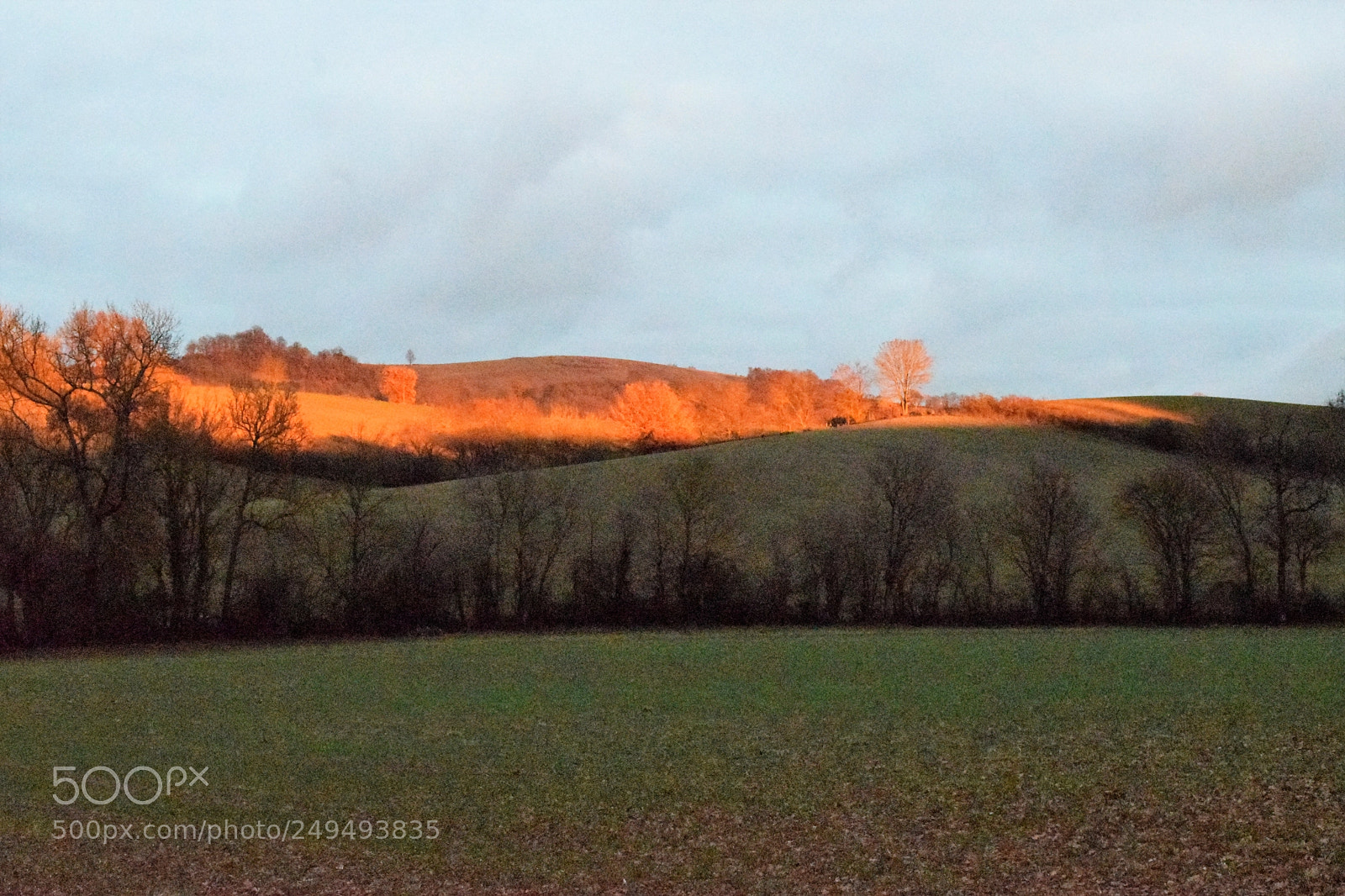 Nikon D3300 sample photo. Winter in the soft photography