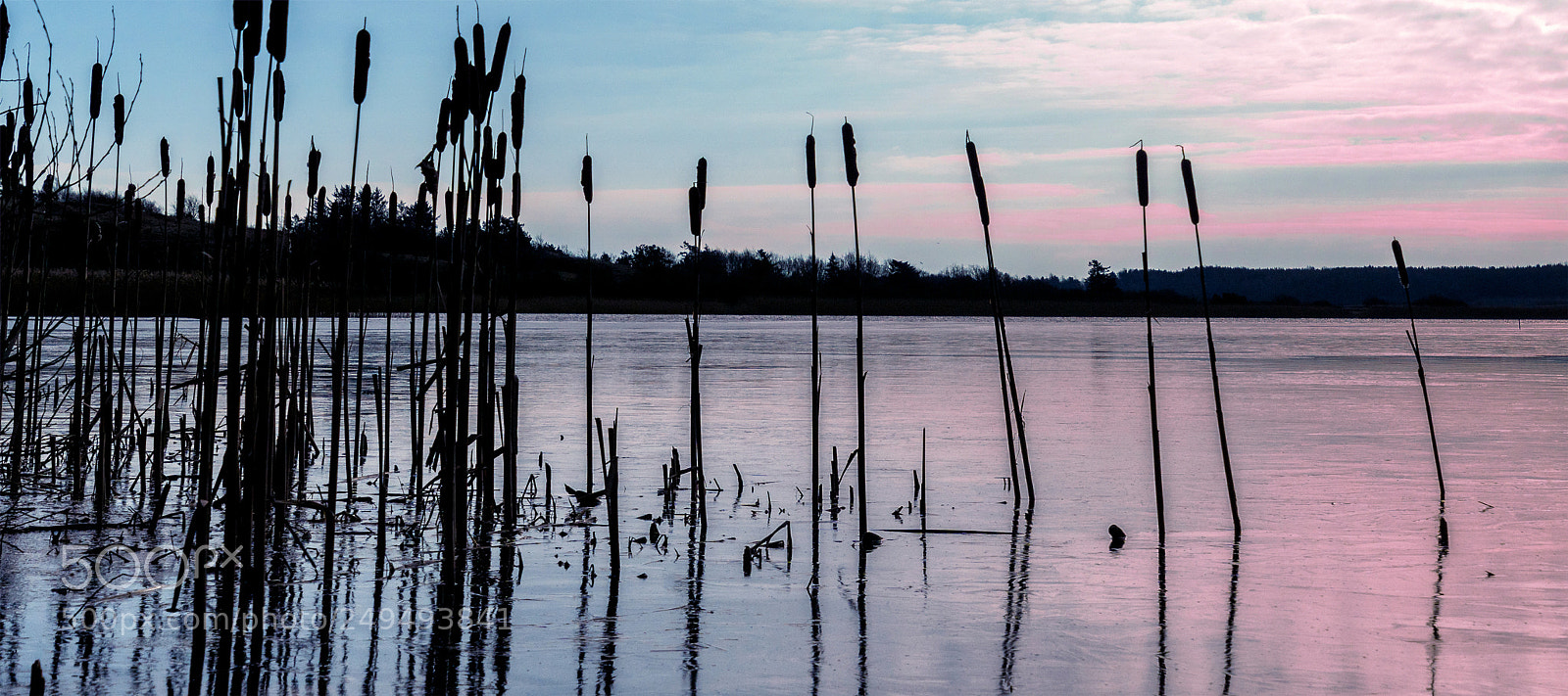 Sony ILCA-77M2 sample photo. The flounder lake dk photography