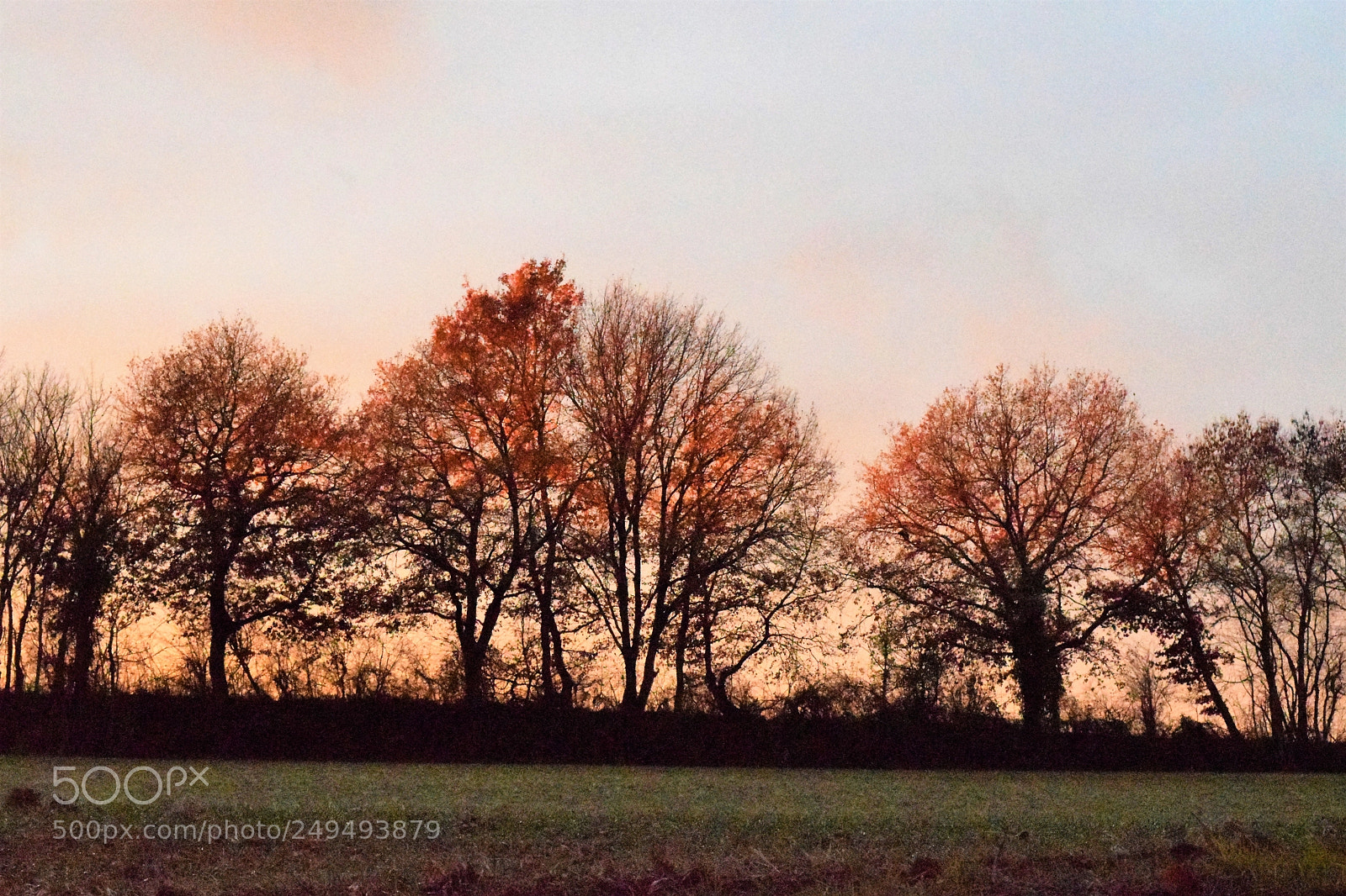 Nikon D3300 sample photo. Winter in the soft photography