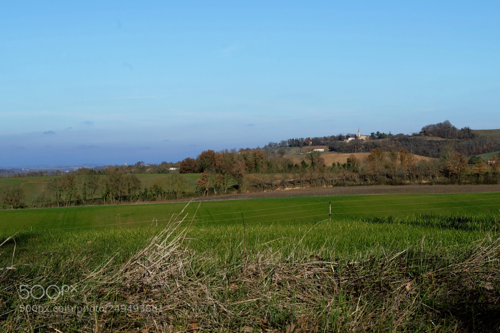 Nikon D3300 sample photo. Winter in the soft photography