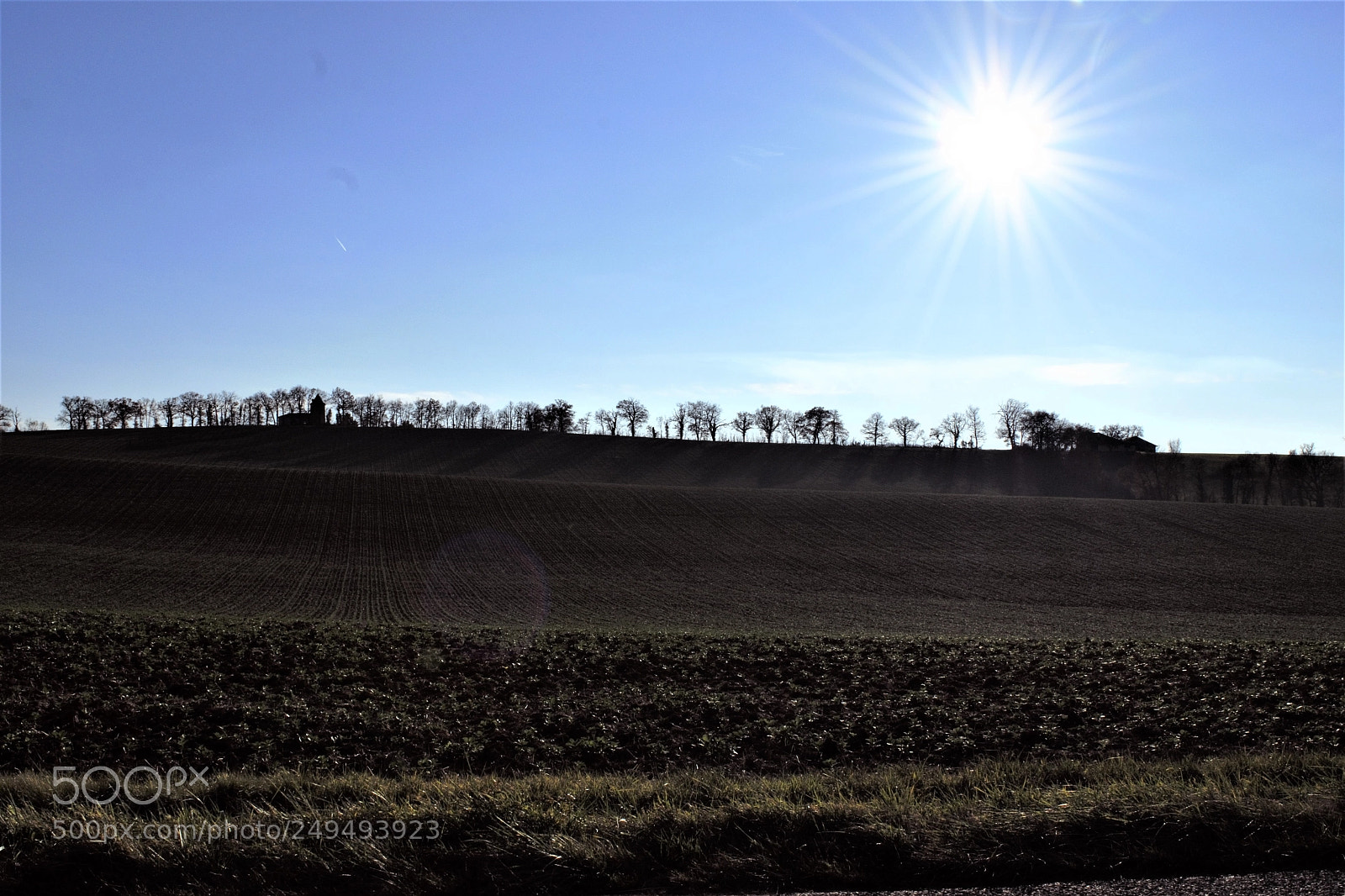Nikon D3300 sample photo. Winter in the soft photography