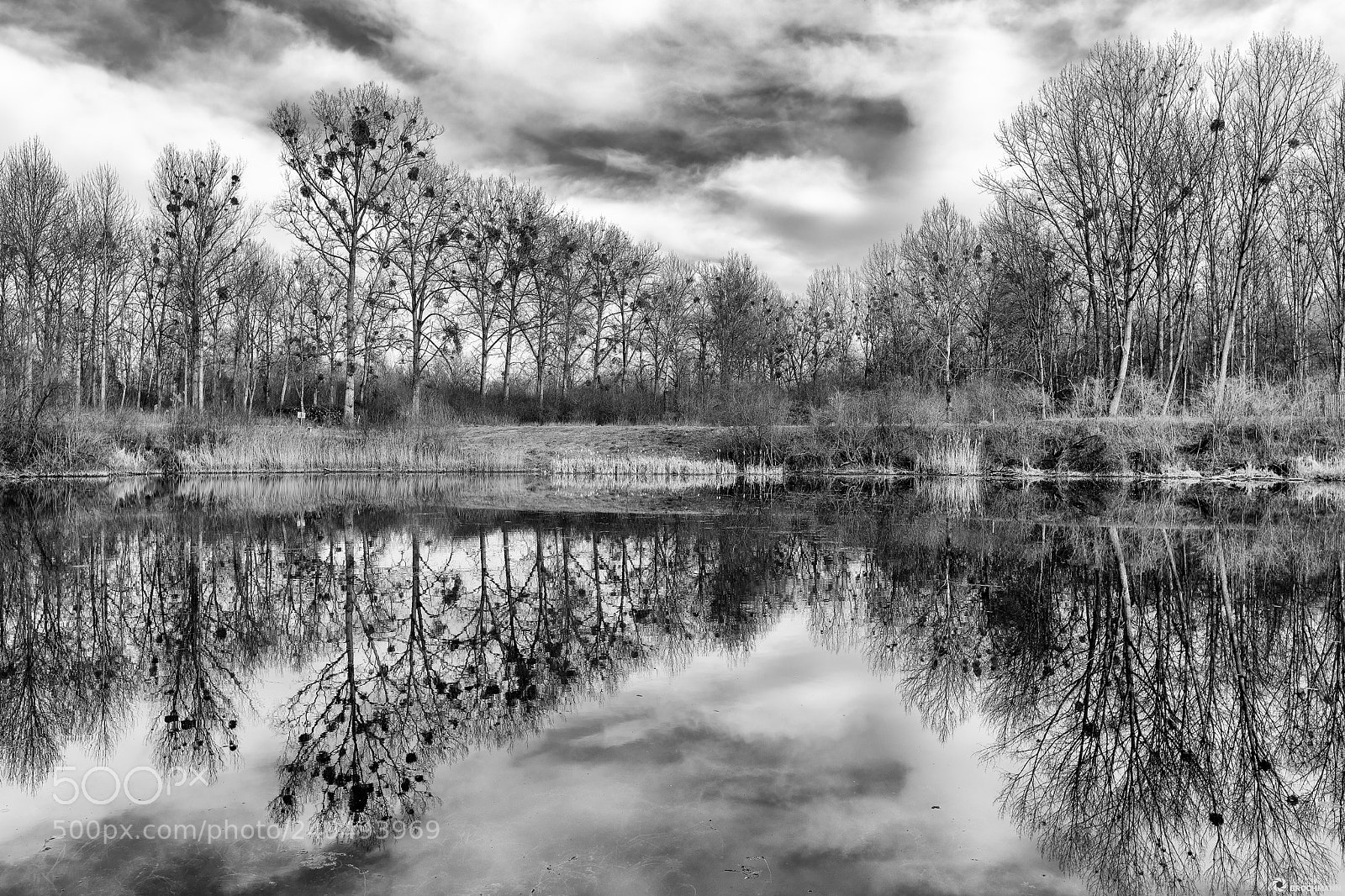 Canon EOS 5D Mark IV sample photo. Refection photography