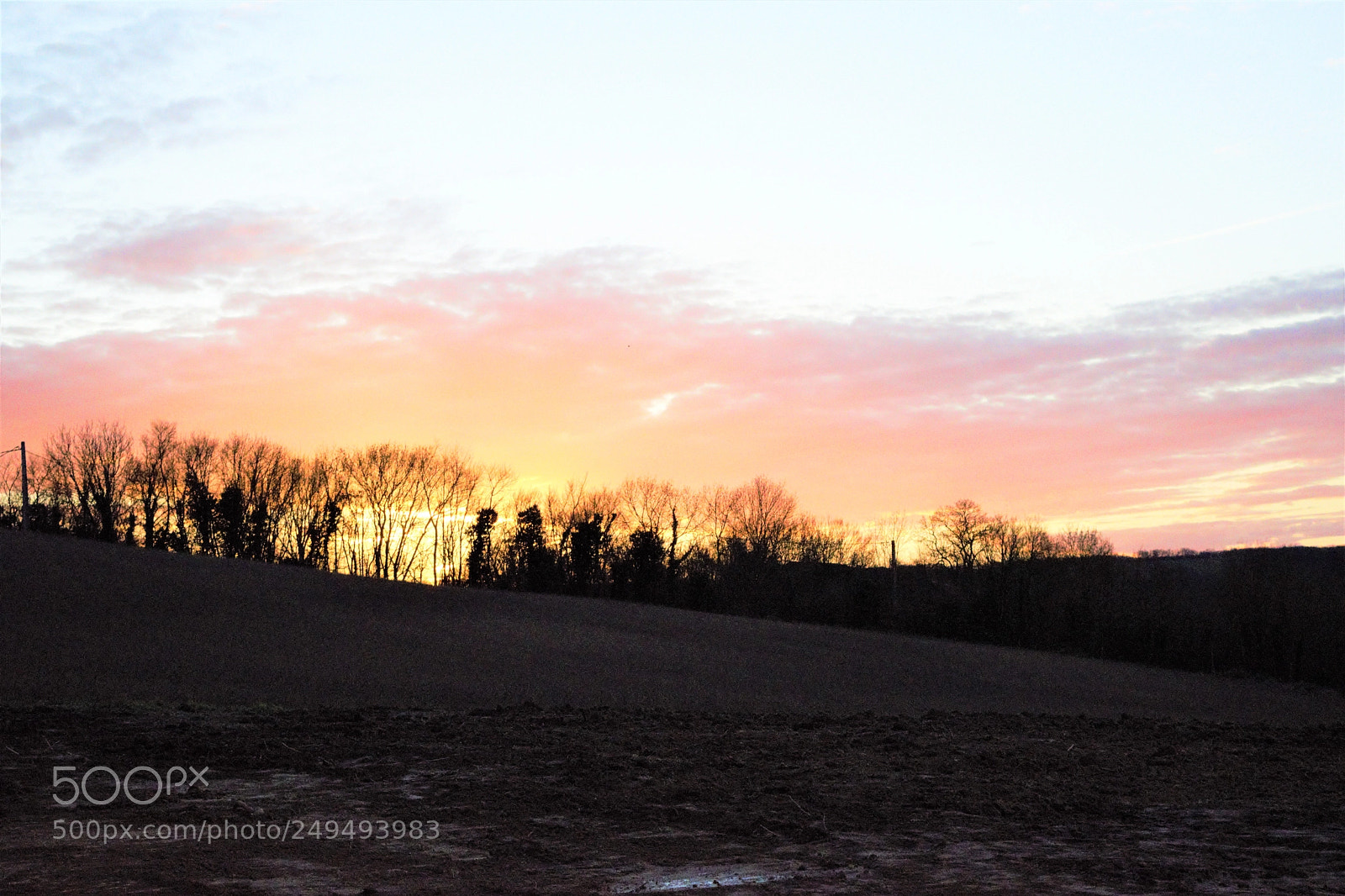 Nikon D3300 sample photo. Winter in the soft photography