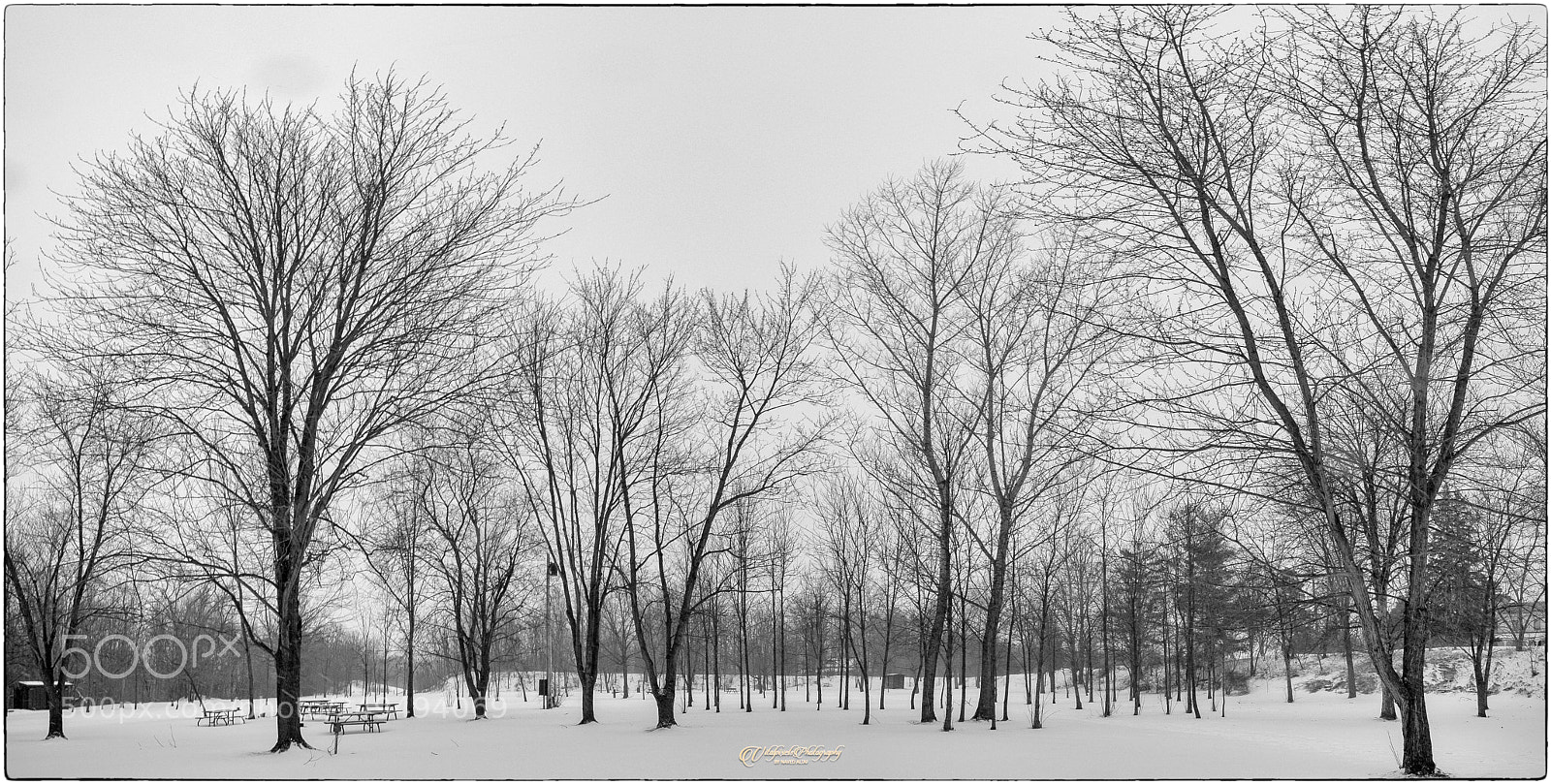 Nikon D500 sample photo. Winter! photography