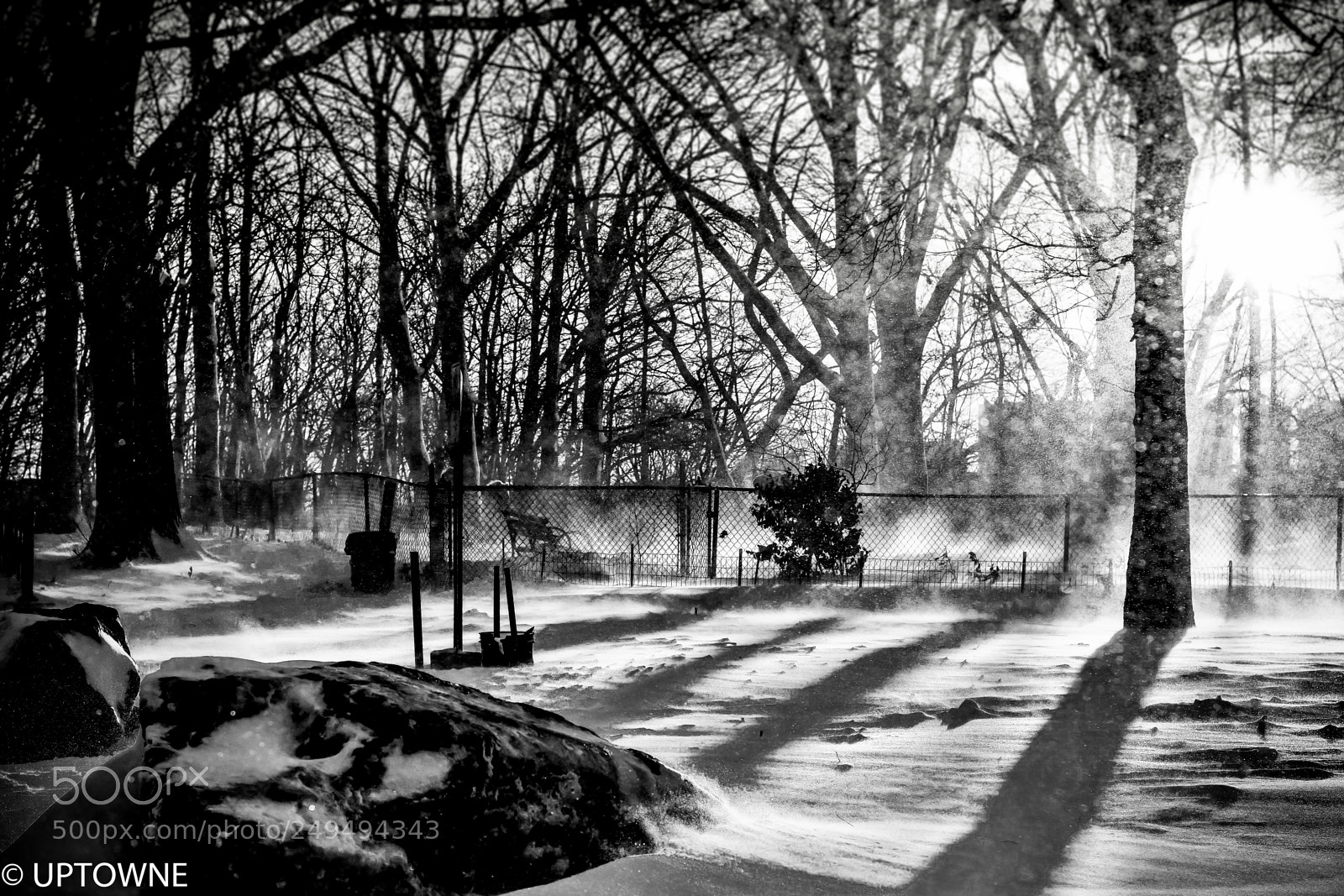 Nikon D3300 sample photo. Snow at the park photography