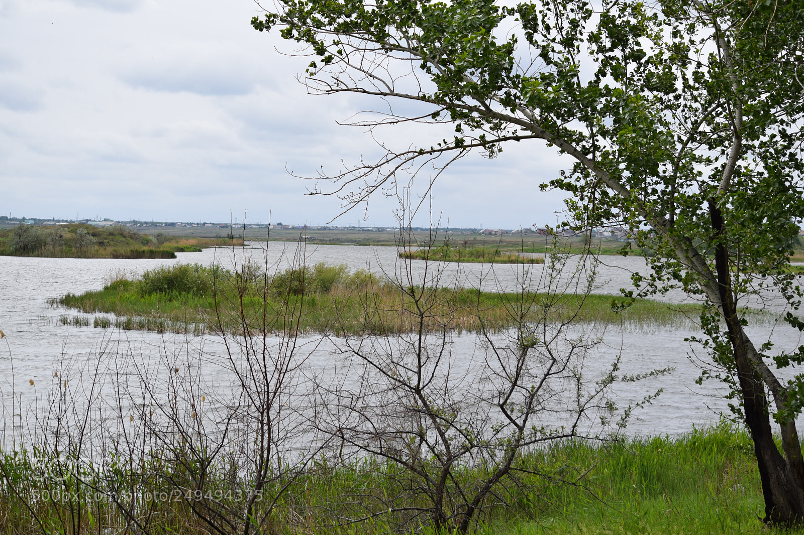 Nikon D5300 sample photo. Тобол photography