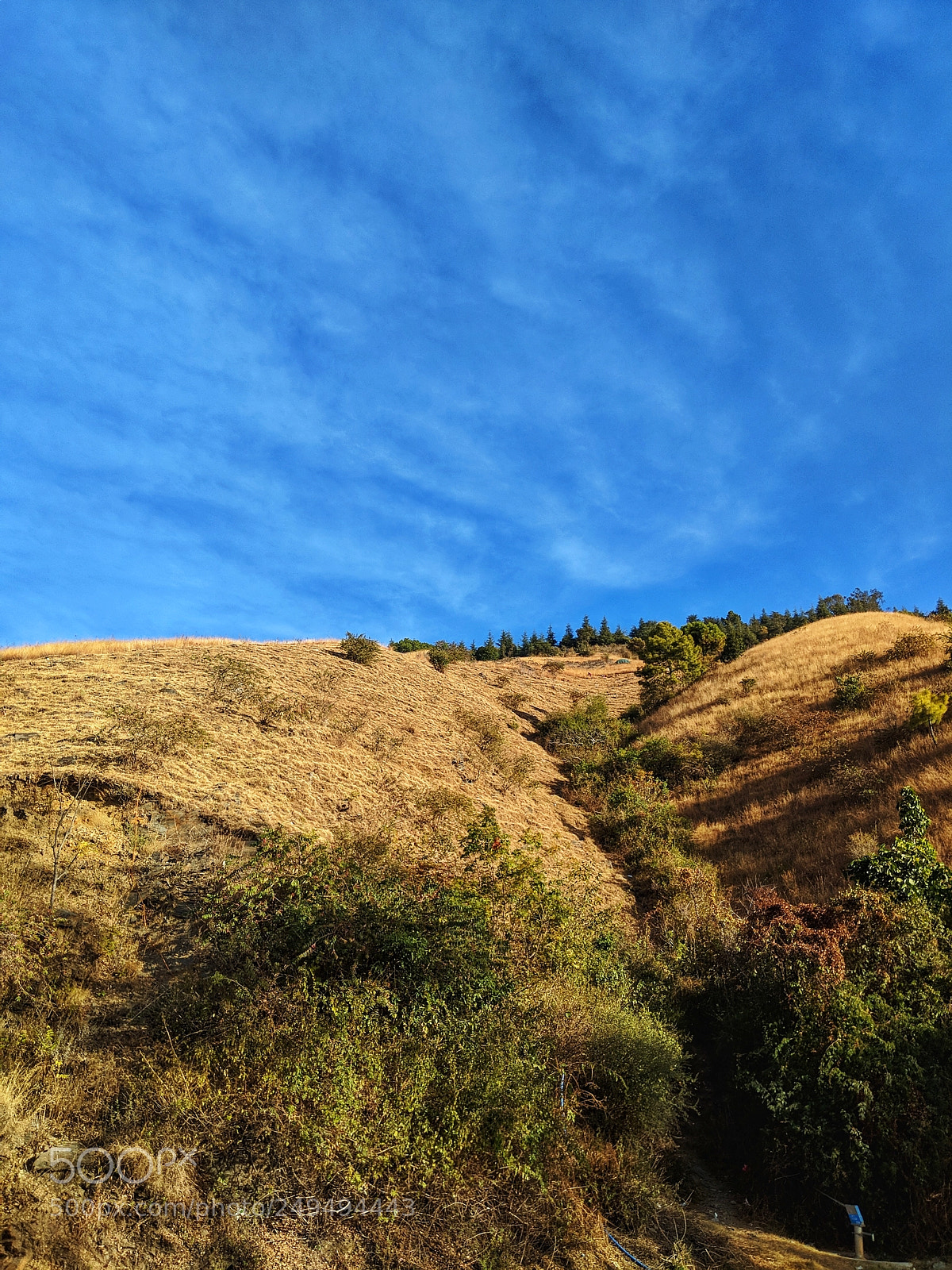 Google Pixel 2 sample photo. When a hill takes photography