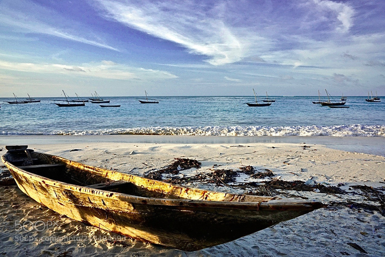 Sony SLT-A99V sample photo. Relaxing on the north photography